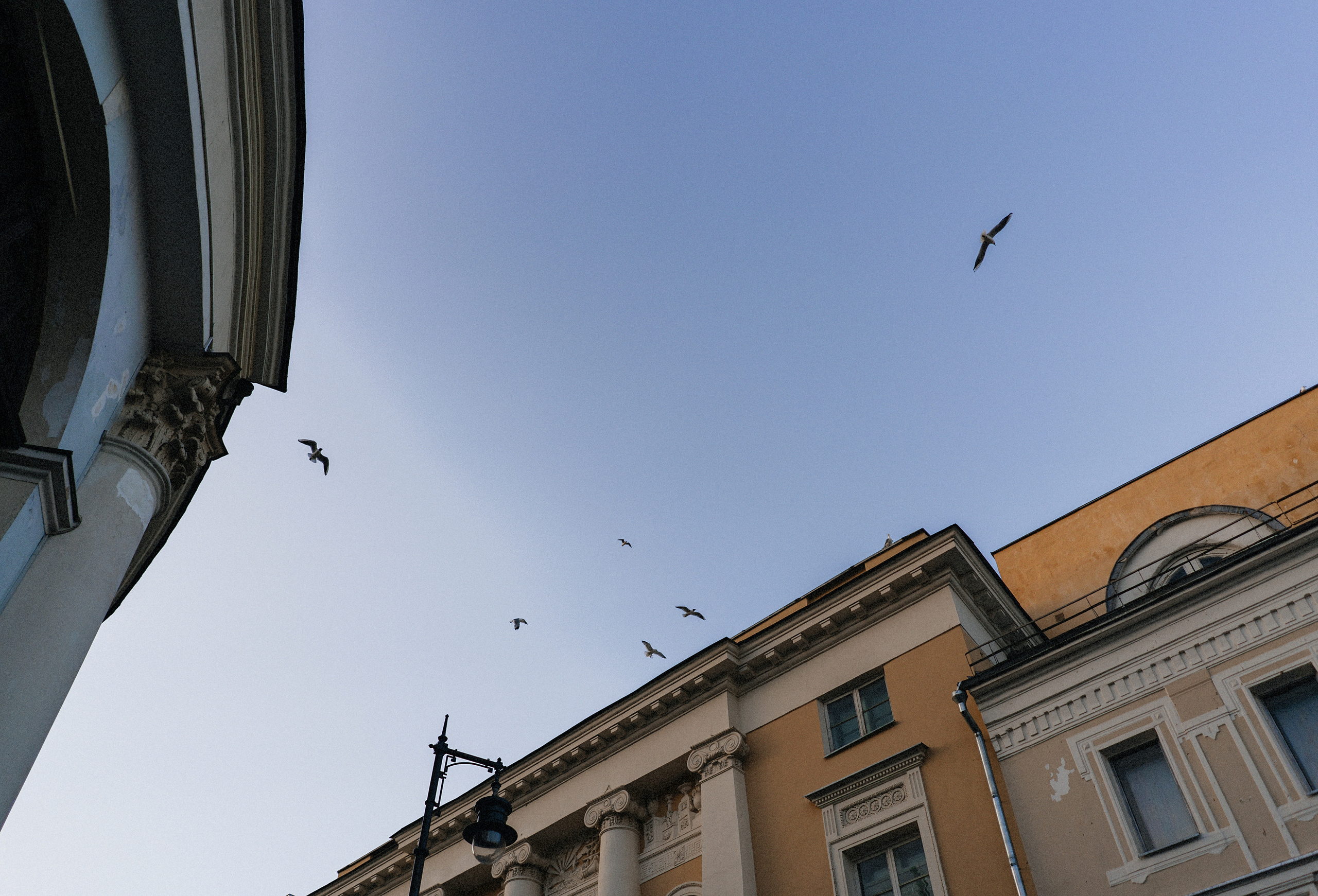 Света и Дима. Катя Завьялова