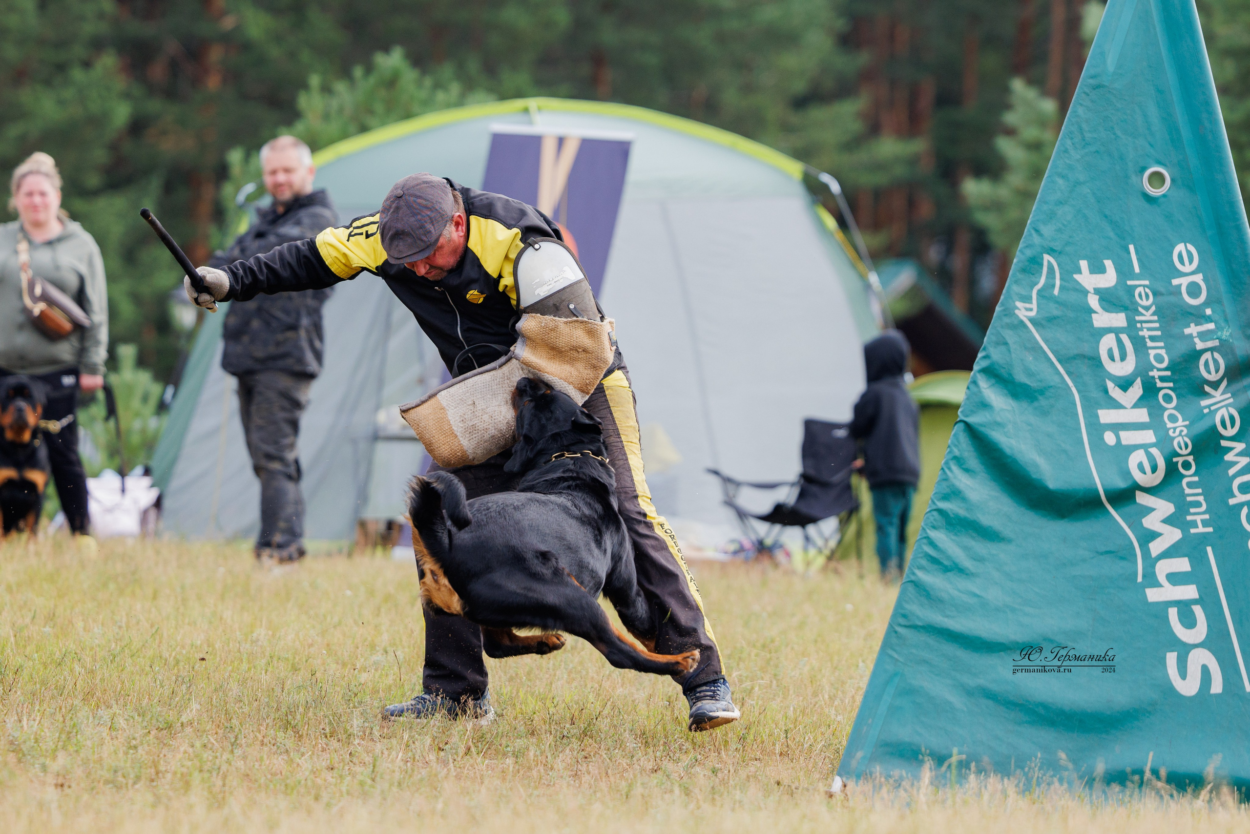 ПК и КЧК ротвейлеры Тверь 6-7.07.2024. Фотограф-анималист Юлия Германика