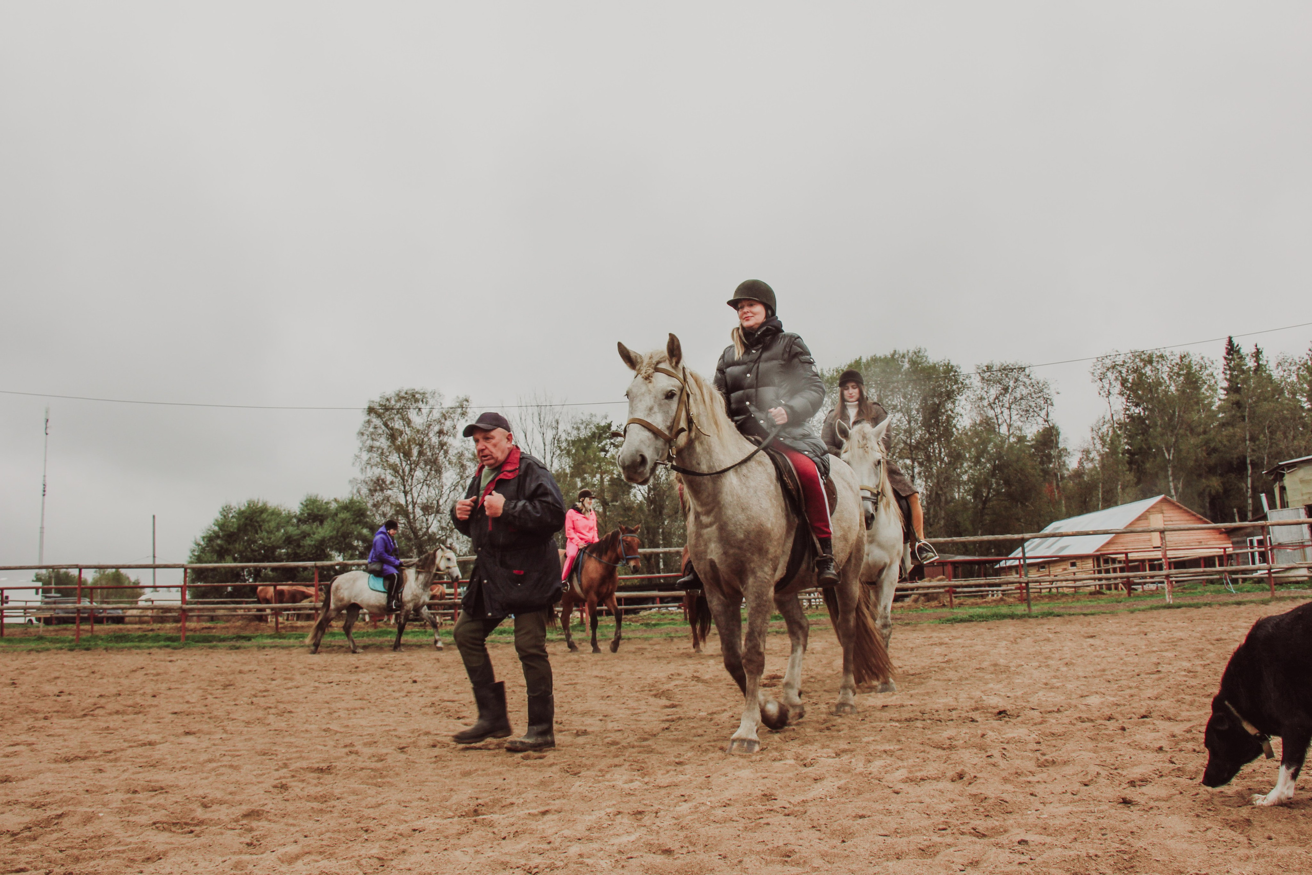 Лошадинг | 27.09.2025. Галерея Фантим