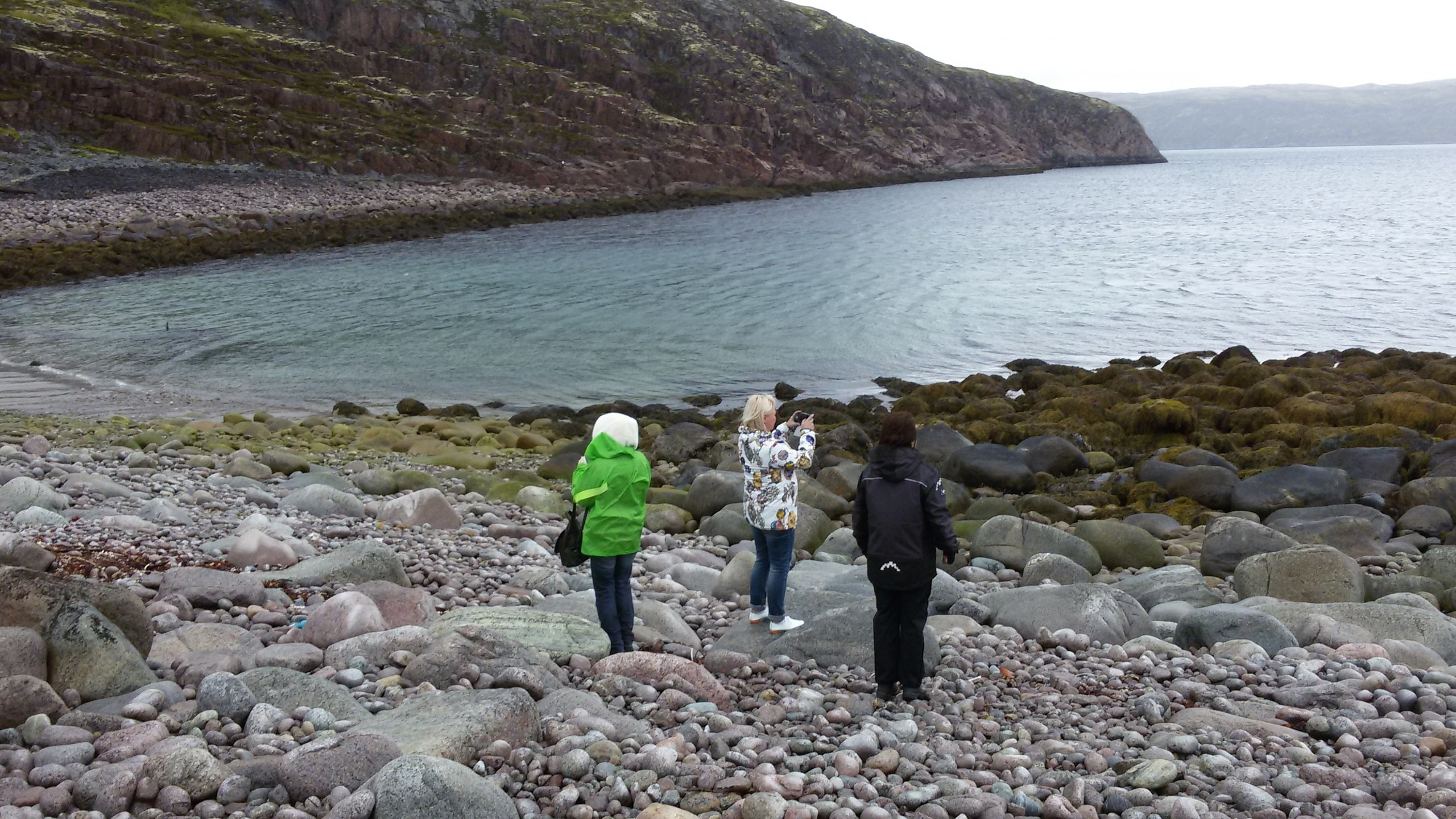 Мурманск | 22-23.06.2019. Галерея Фантим