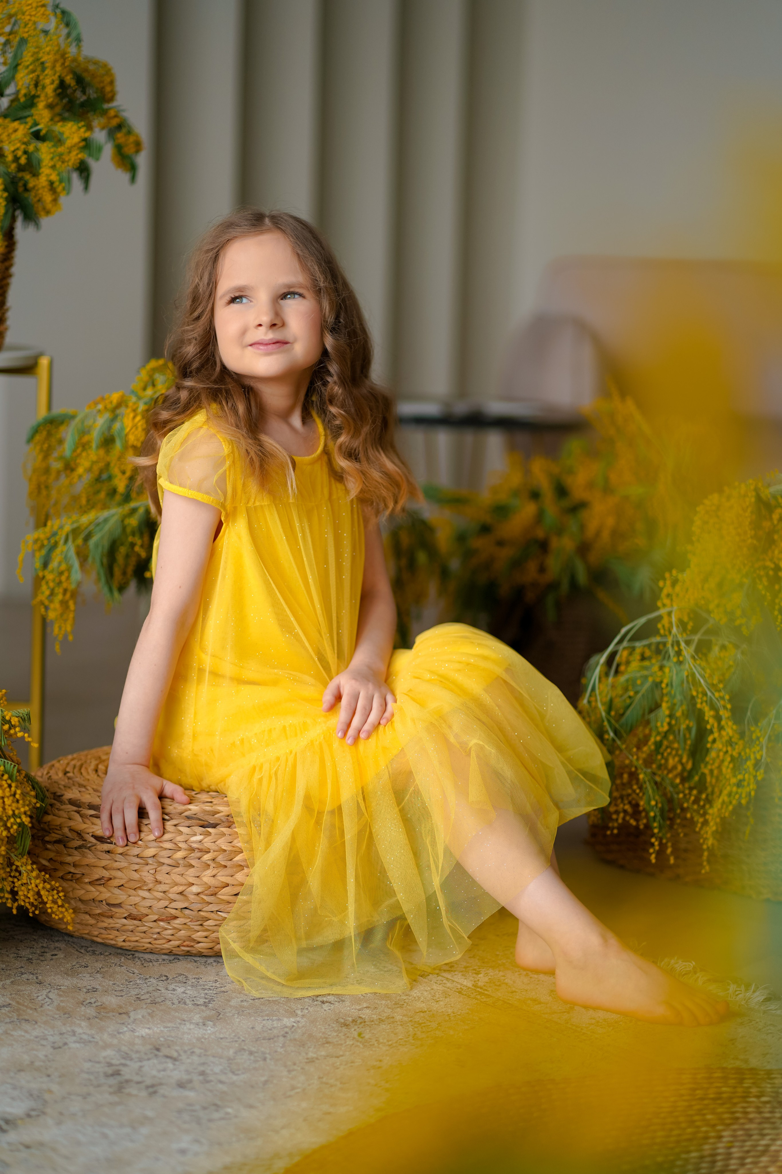 Мимоза. Фотограф Татьяна Митрофанова