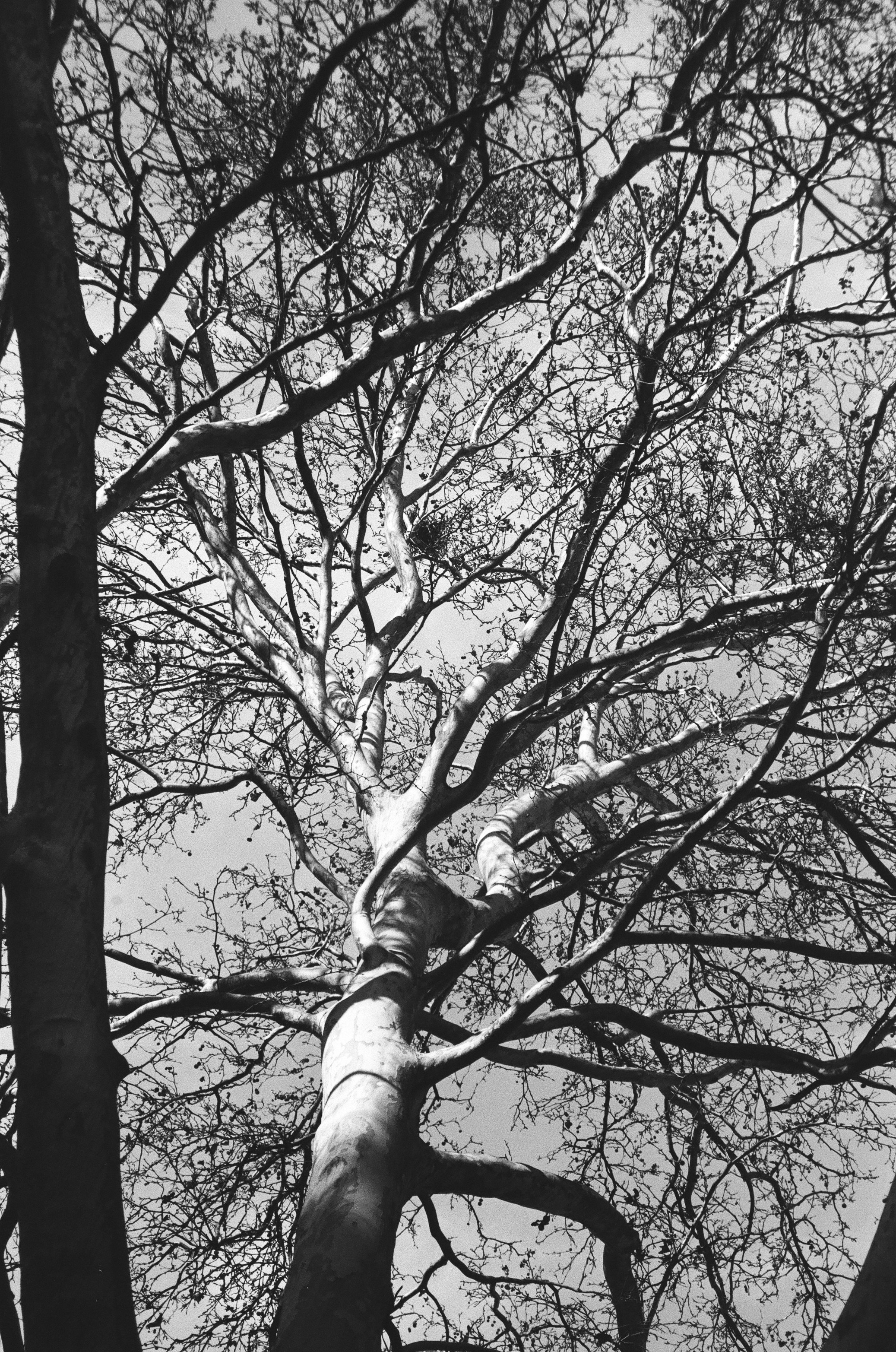 ON THE GO. Сocoobird || Атмосфера твоего бренда в снимках и видео