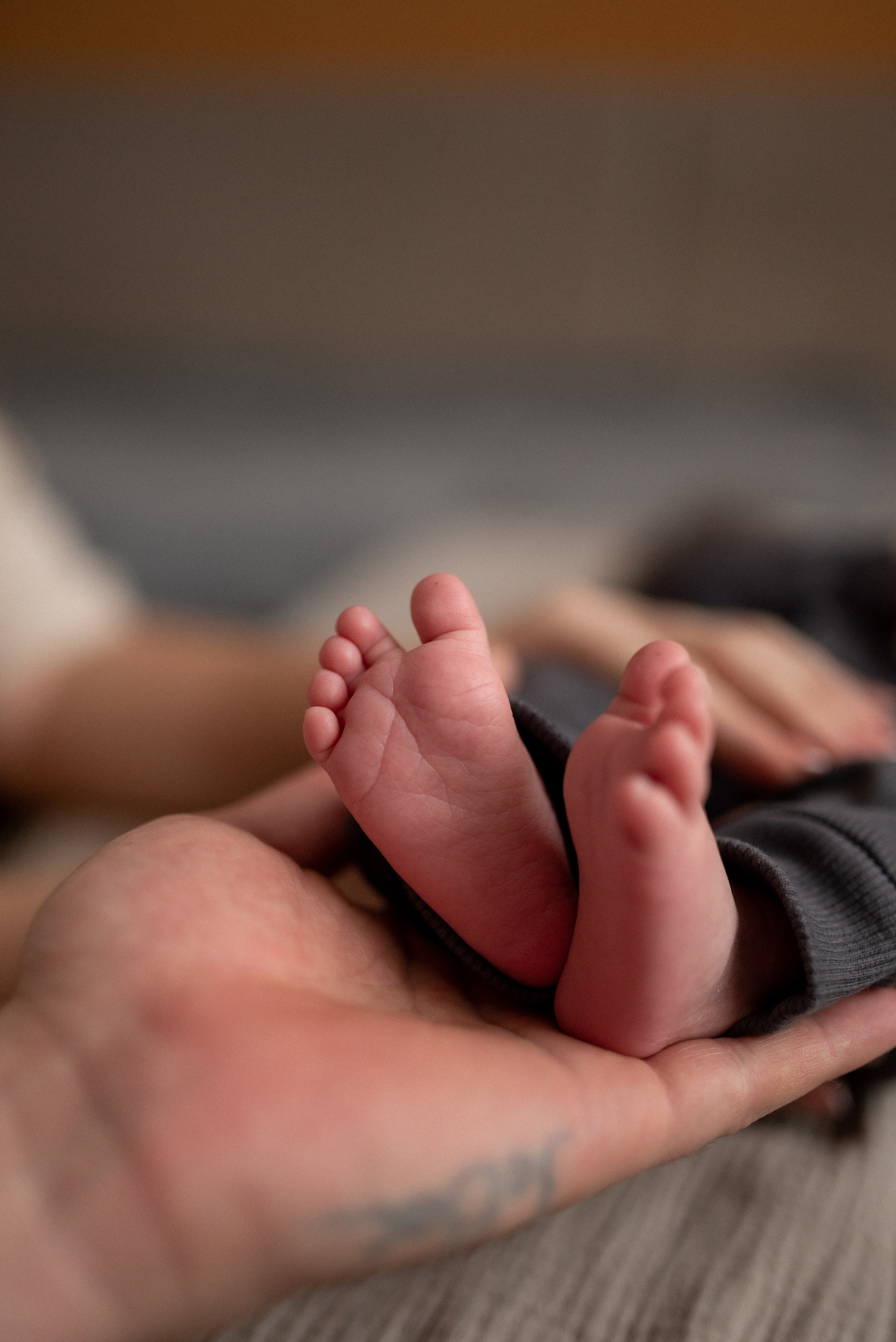 Мирон. Семейный фотограф Ирина Сгибнева