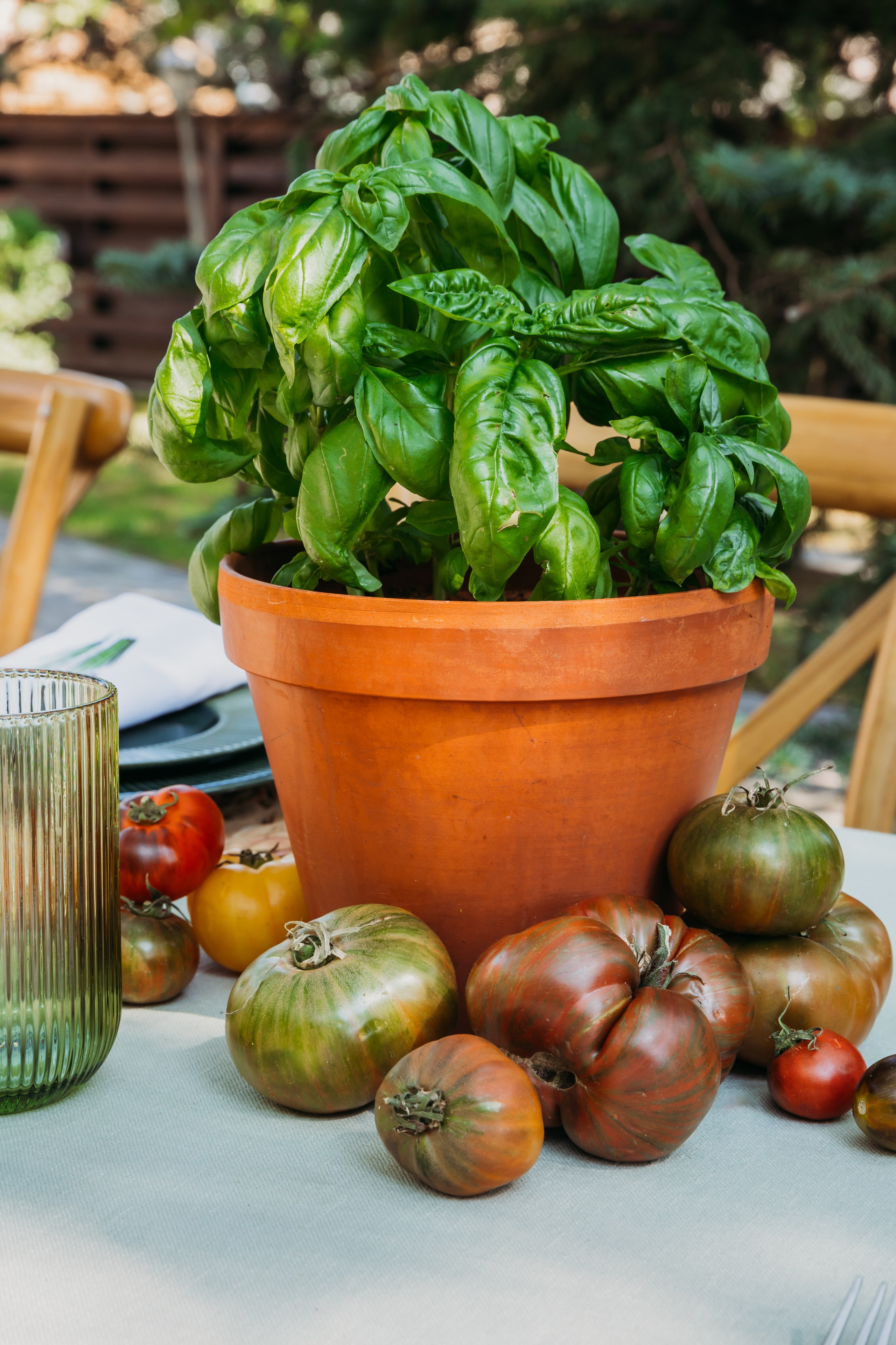 Родные люди «Итальянский день». Леся Гаранина. Семейный фотограф/видеограф Москва и область