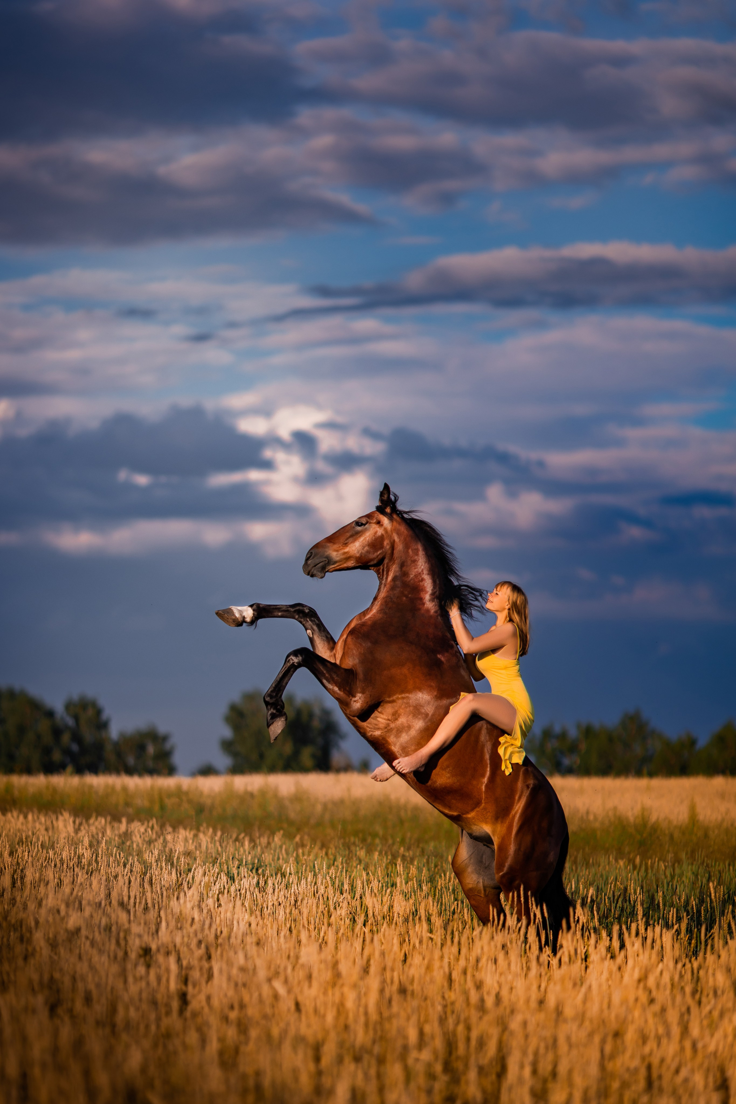 Фотосессии с лошадьми. Главная