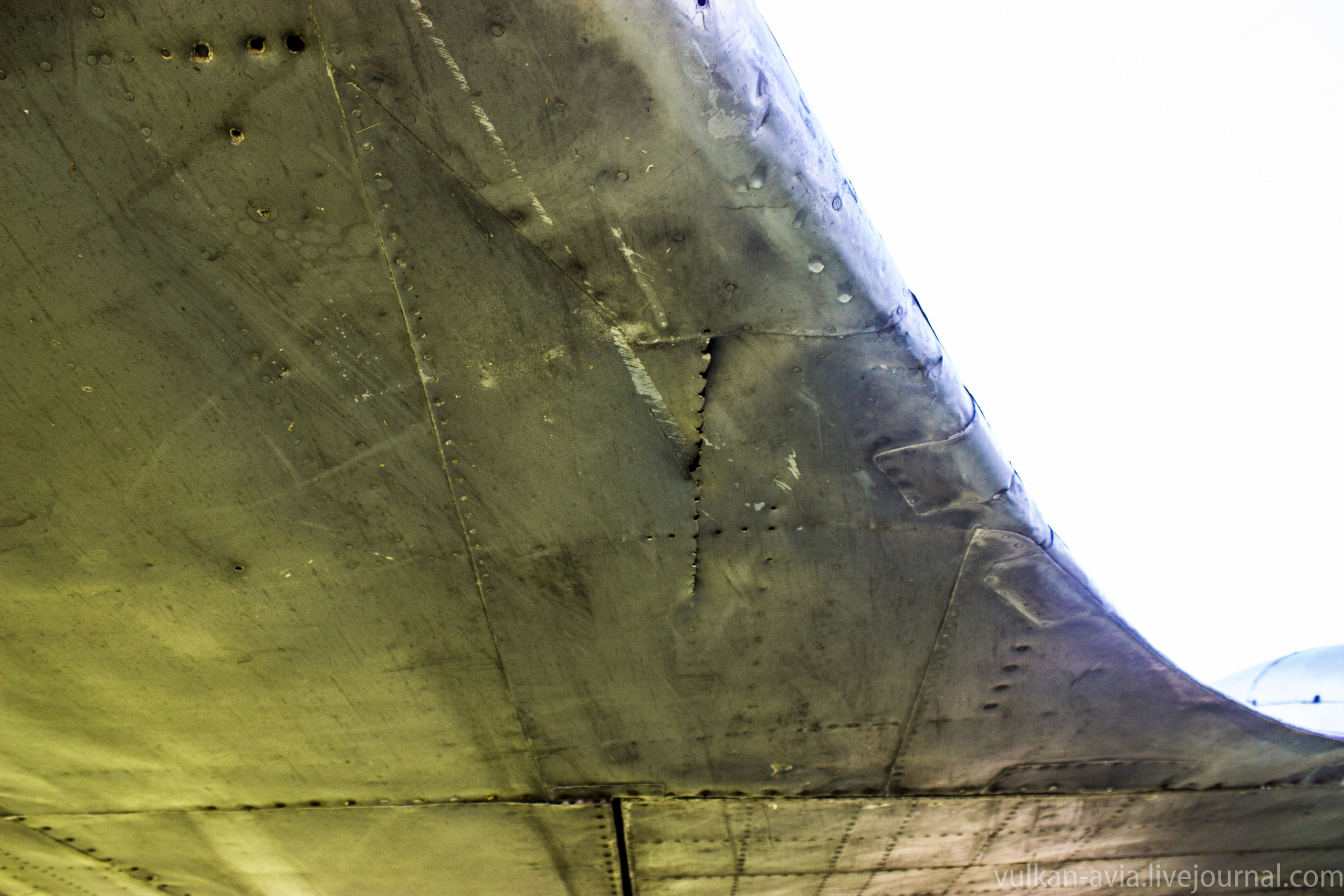 Ил-14 (Пермь, Фролы). Фотоальбом показывающий увлекательный мир авиации и мир медведей Андрея Иванова