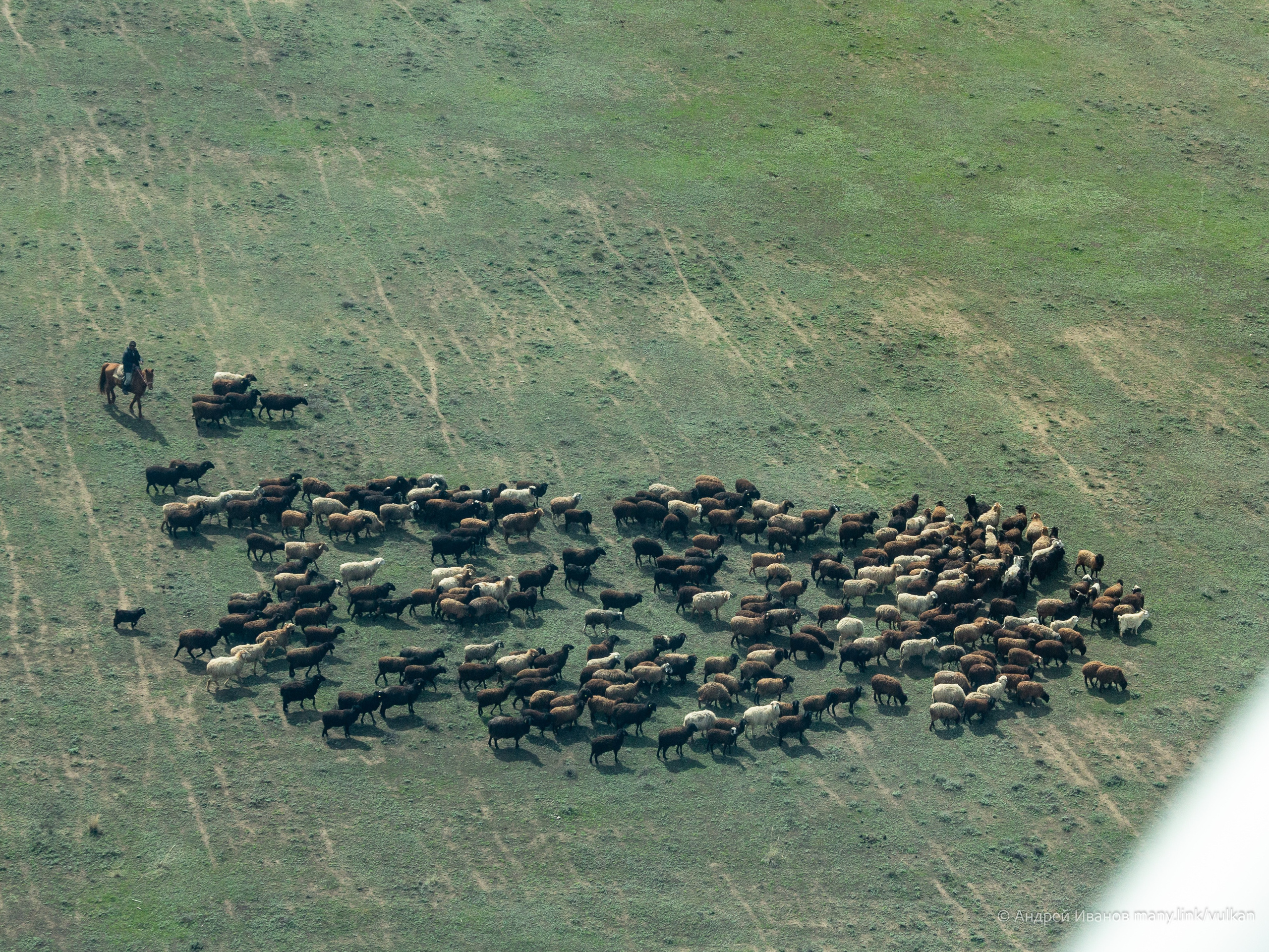 Перелёт на Байконур в 2026 г на самолётах АОН. Фотоальбом показывающий увлекательный мир авиации и мир медведей Андрея Иванова