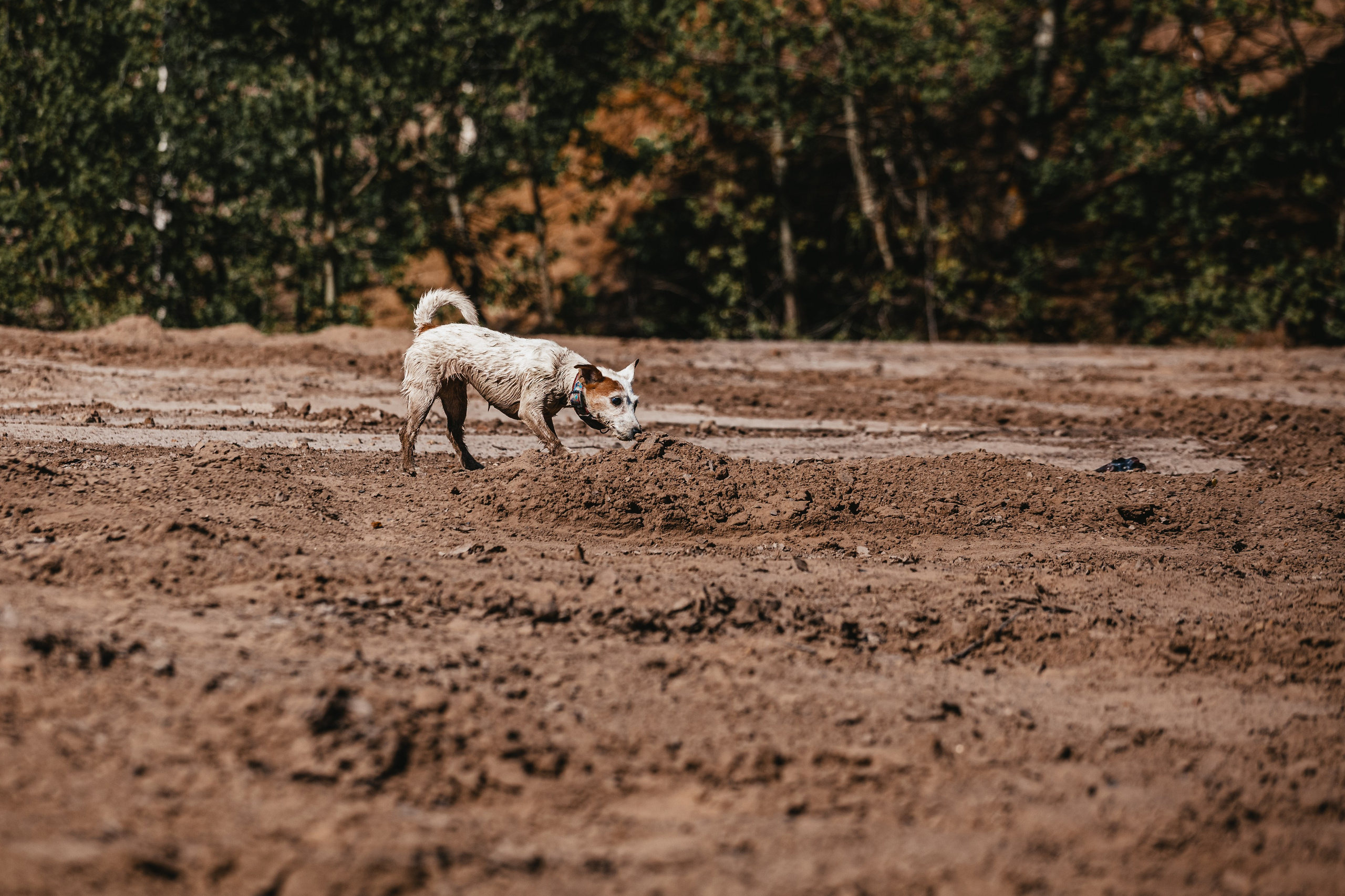 Кондуки. Фотограф-анималист Татьяна Степанова