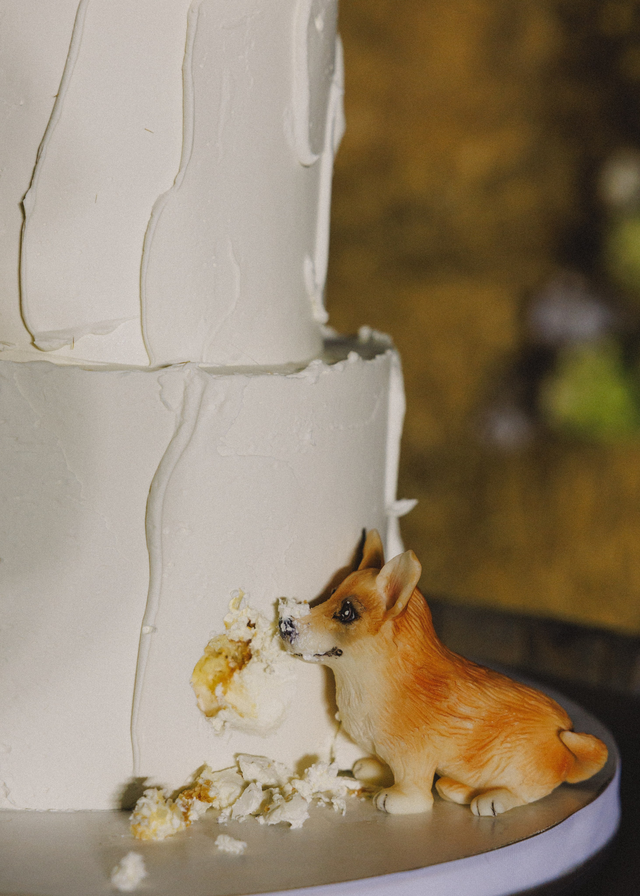 RUSSTYLE. Свадебный фотограф Владислав Адышкин