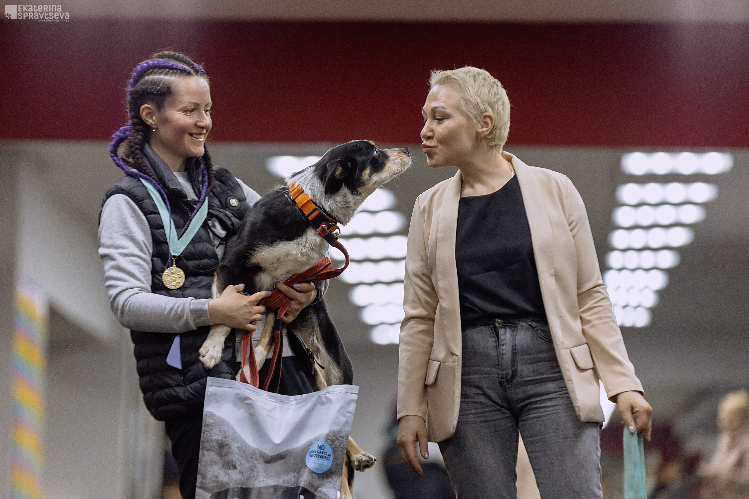 Праздник NoseWork. Фотограф Анималист Екатерина Справцева в Нижнем Новгороде
