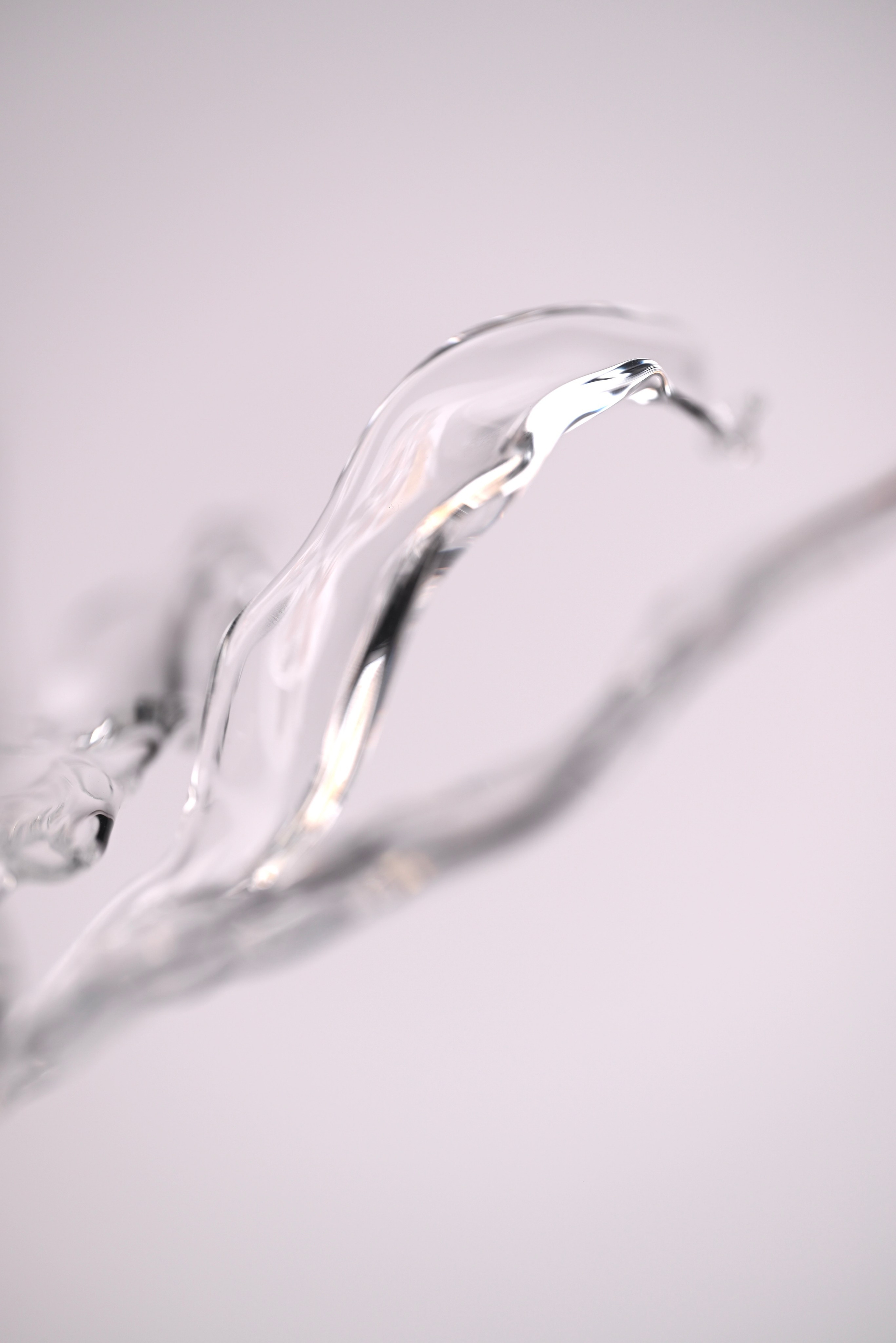 Рябчик императорский. Home