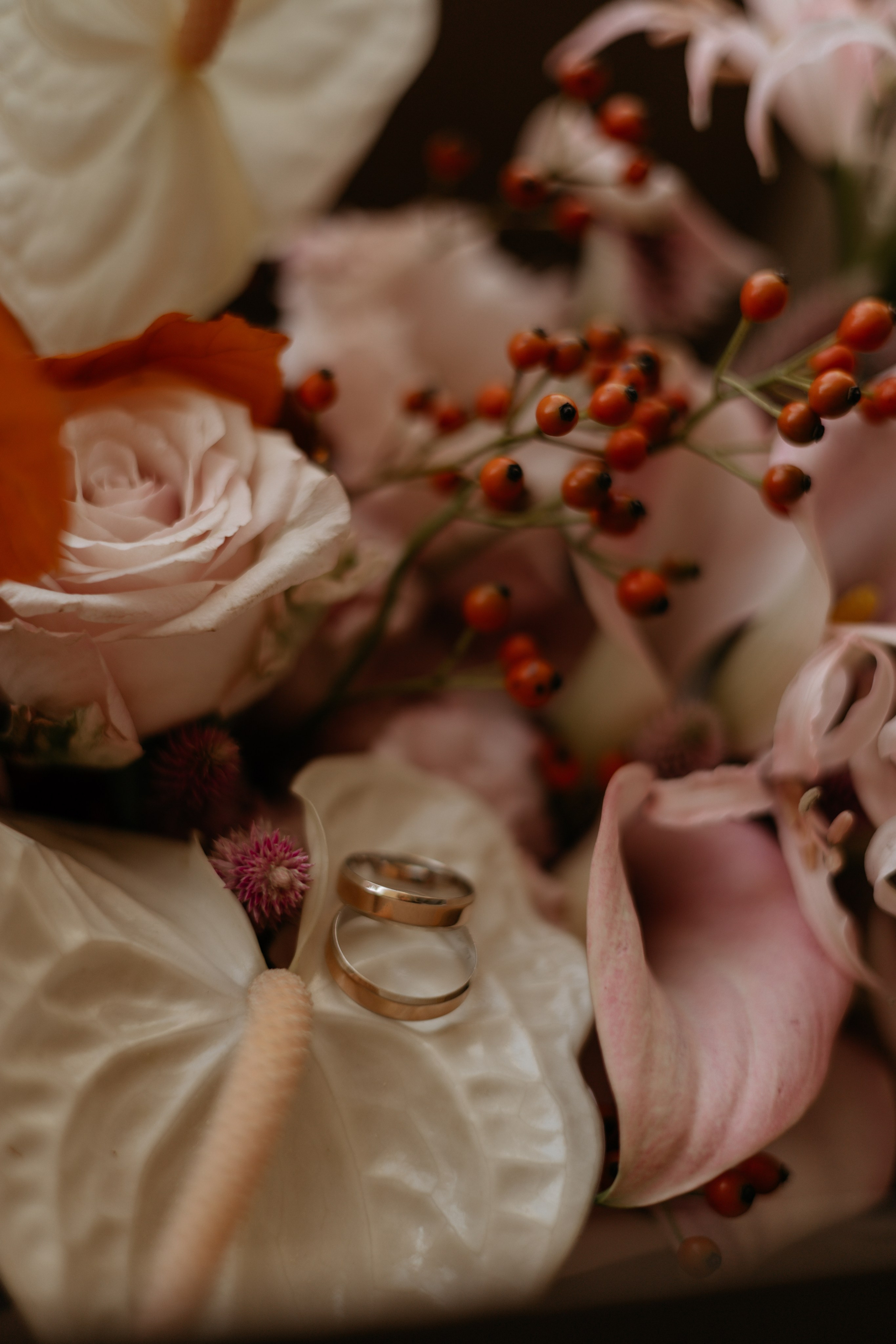 Дмитрий и Александра. Самый теплый фотограф в Краснодаре Рябоконь Ксения