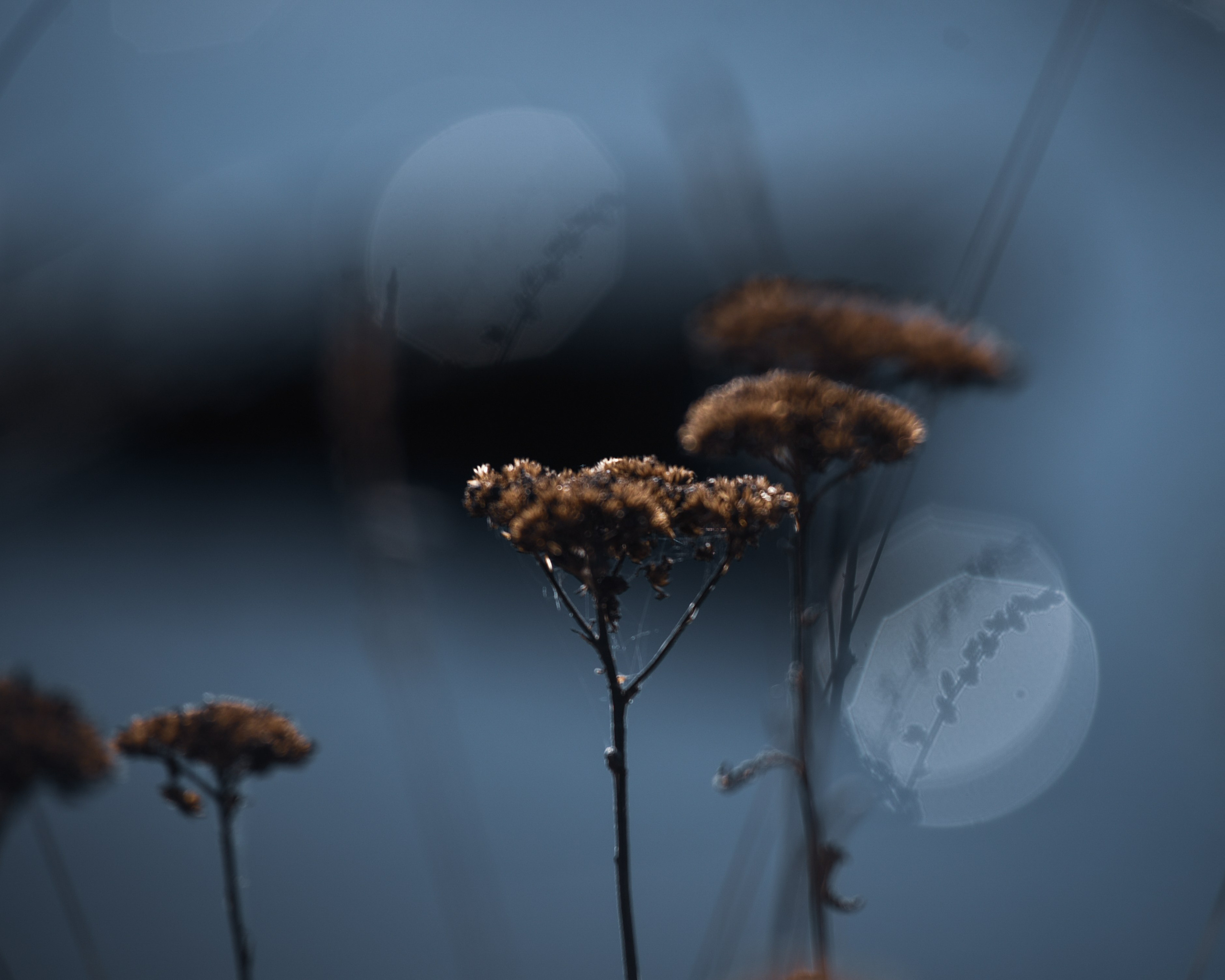 Nature. Anastasia Serdyuk, travel photographer, travel photo, portraits, stories, fineart prints