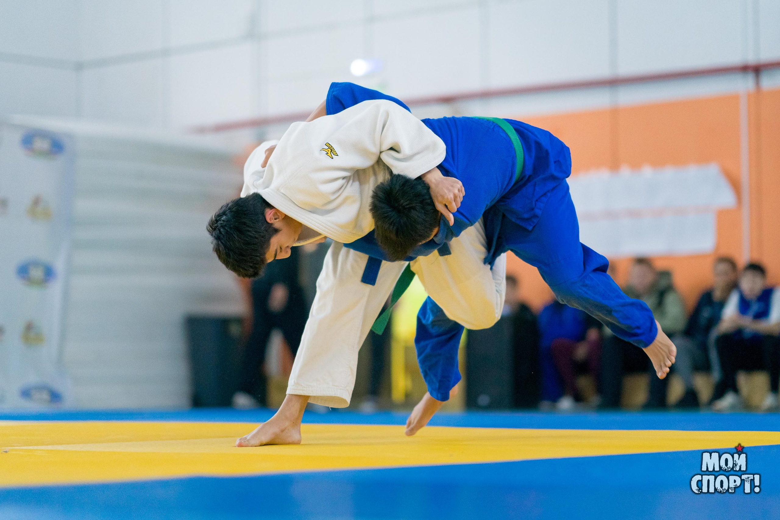 Кубок и первенство РС (Я) по дзюдо. Студия «Мой Спорт!» — все о спорте в Якутии