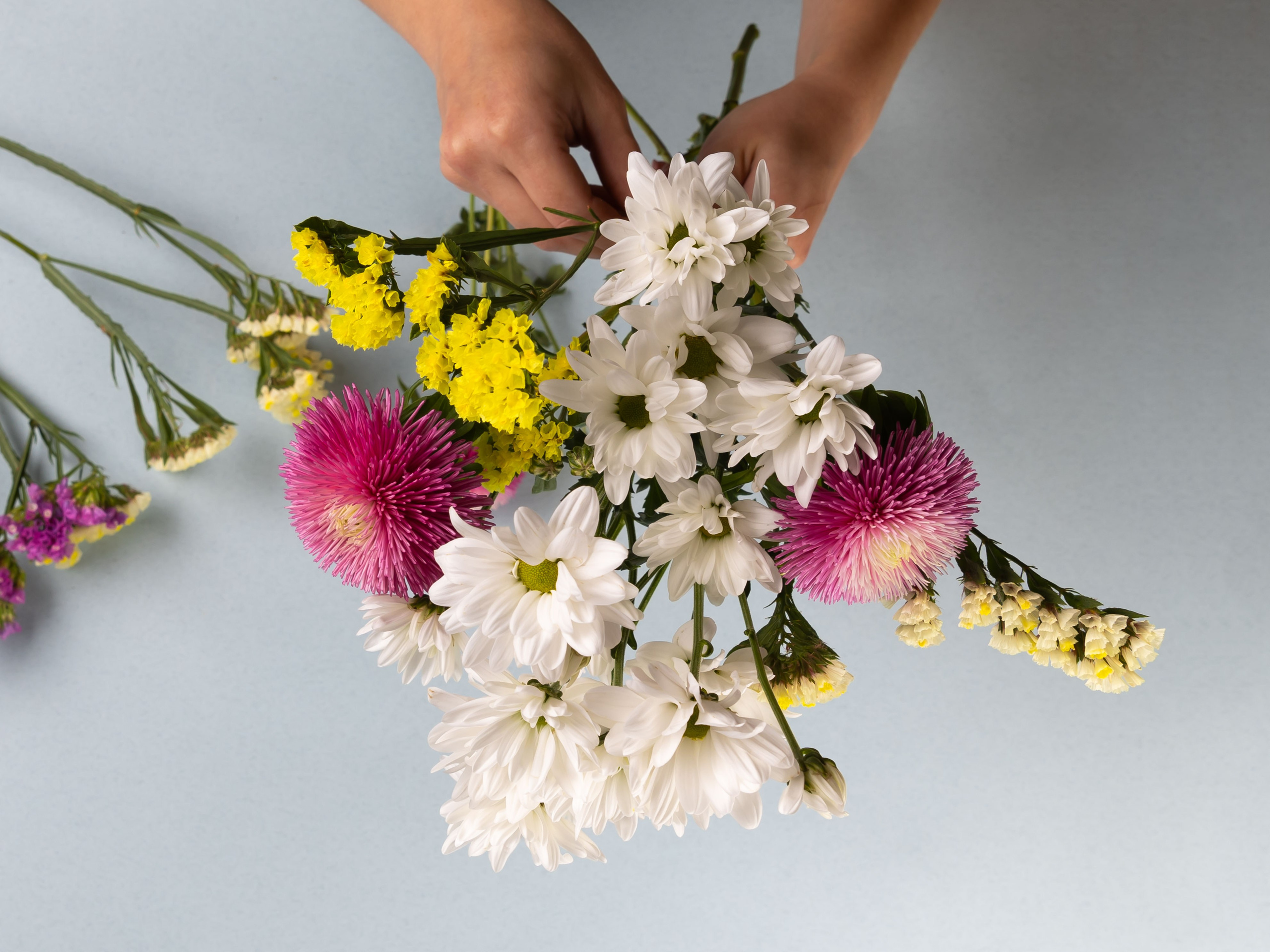 01.08.2025 Фотосессия Цветополис. ФОТОГРАФ ВИНОГРАДОВА ДАРЬЯ