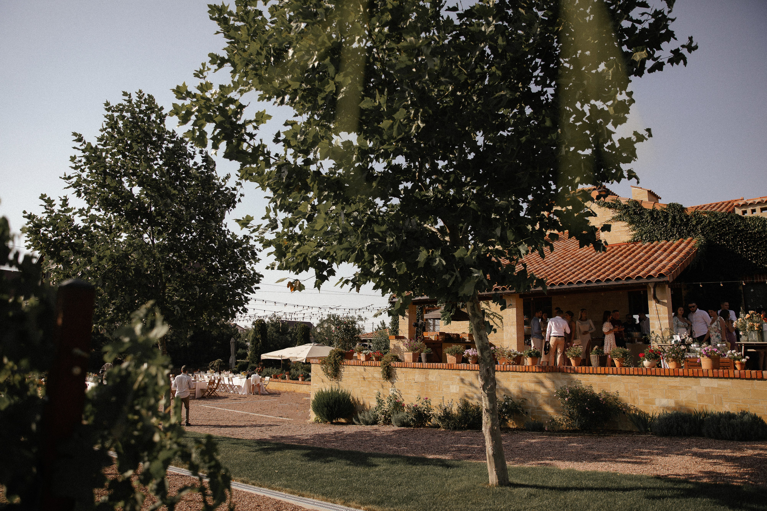 Побеждает любовь (Винодельня Пестиковых). Свадебный фотограф Ольга Ермакович