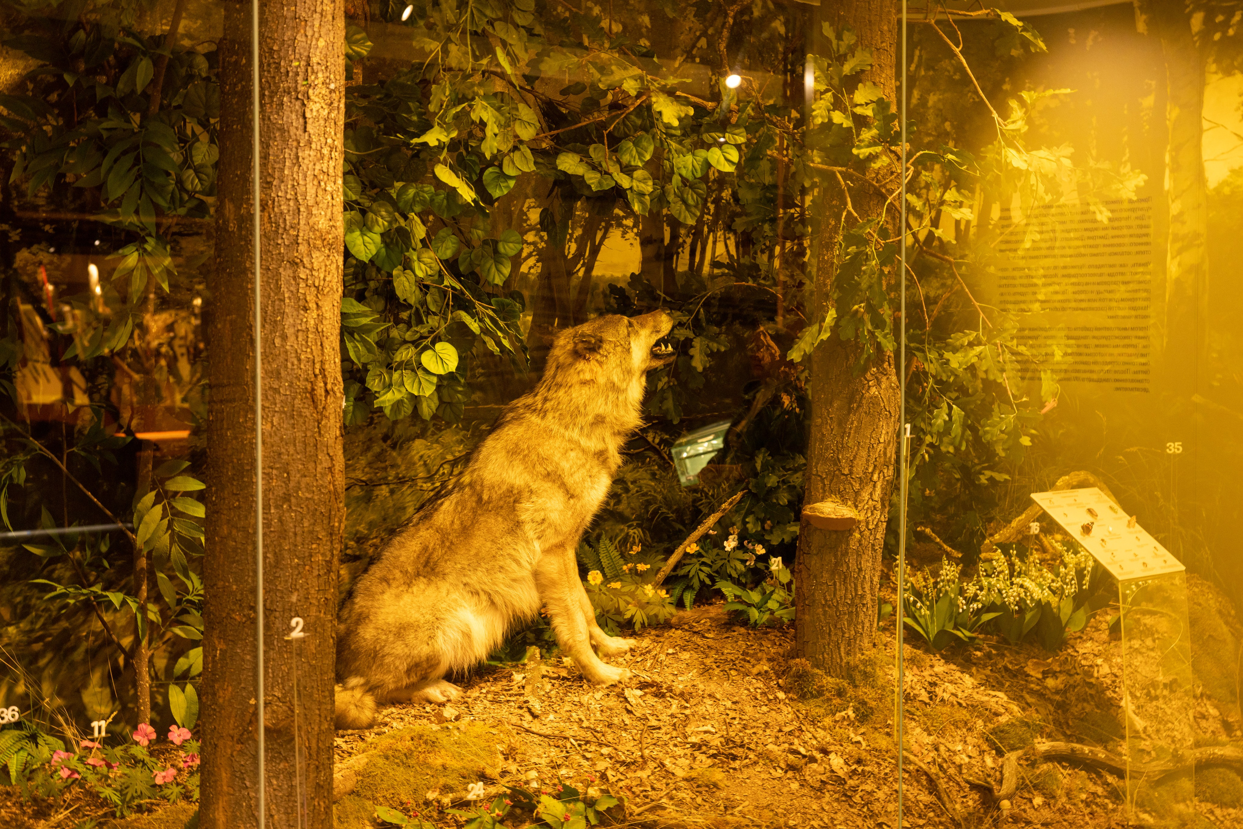 Поездка на поле Кулеково. Фотограф в Туле Крупский АнДРей. Фотостудия «КАДР71» в Туле