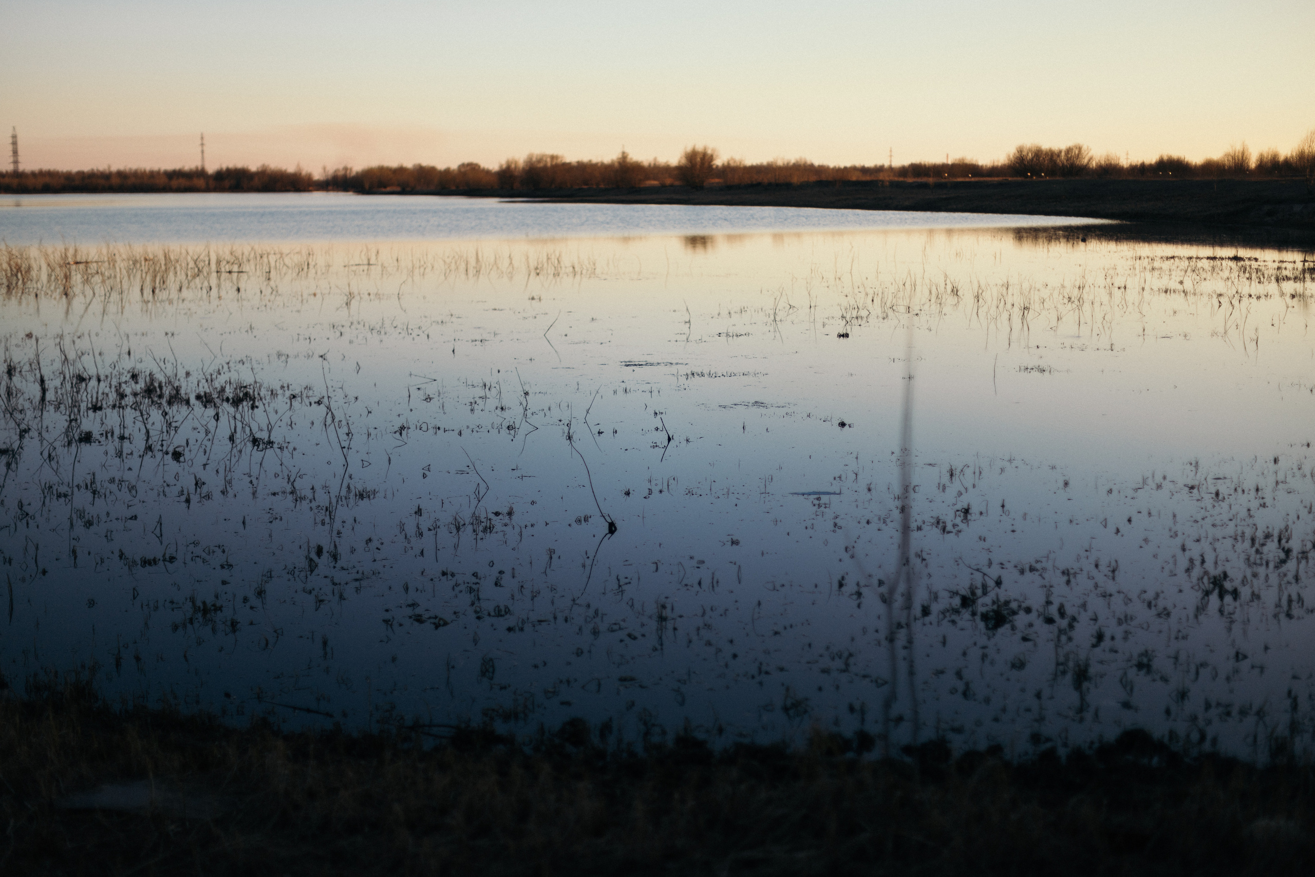 Ириша. Свадебный фотограф в Сургуте Никита Нертымов