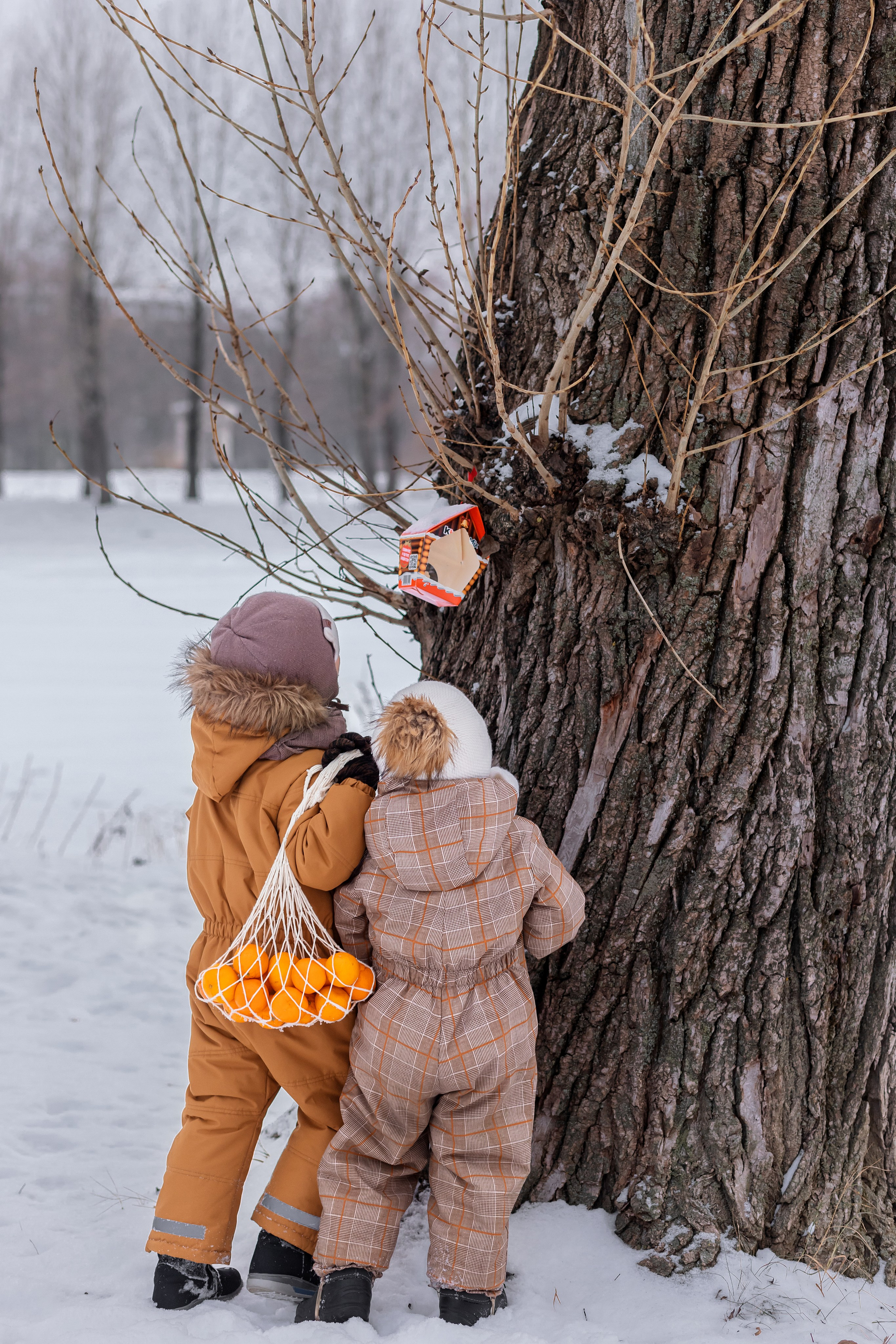 Зимняя сказка. Свадебный фотограф Екатерина Чаусова