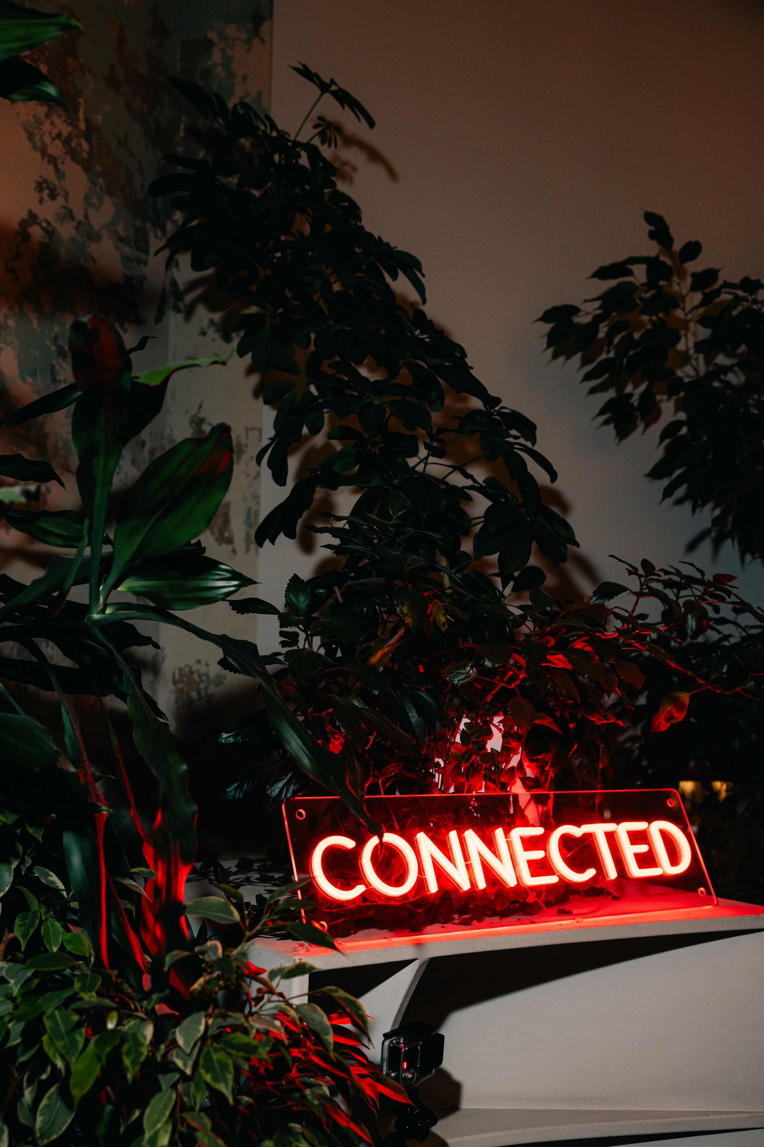 Дом Культур — СONNECTED x Дом Культур / 20.03.2026. TENZO | Креативный продюсер / Арт-директор