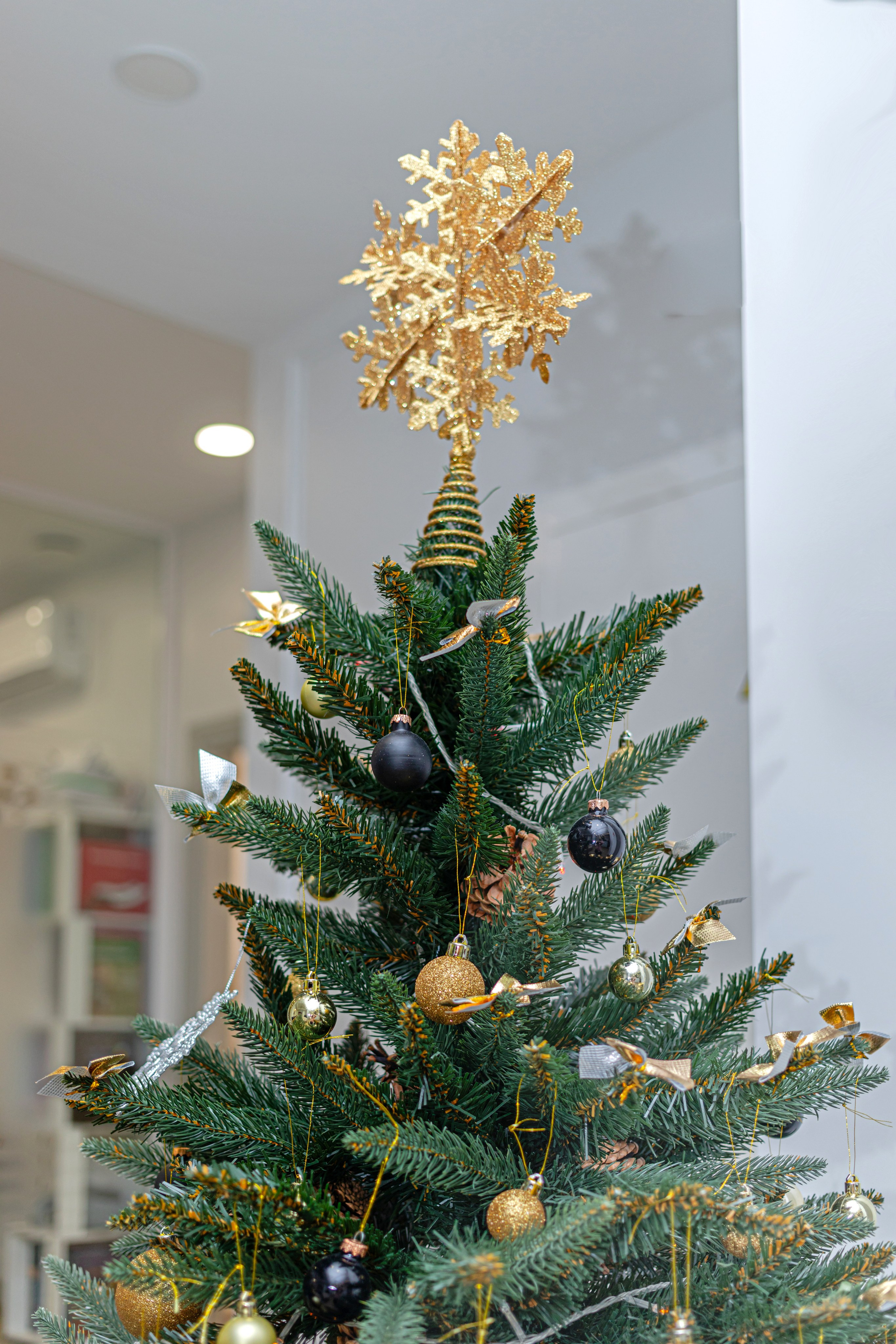 Relax. Фотограф Алина Гашникова