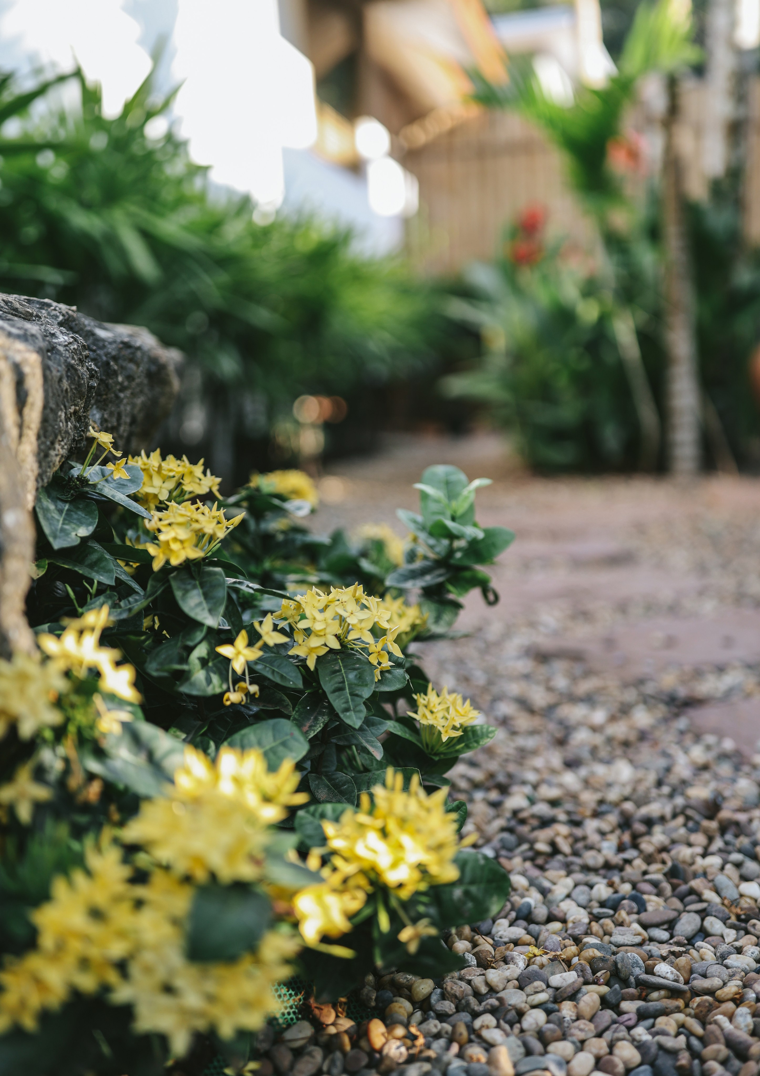 Thailand / Ban Sainai Resort. Ekaterina Buneeva Photography