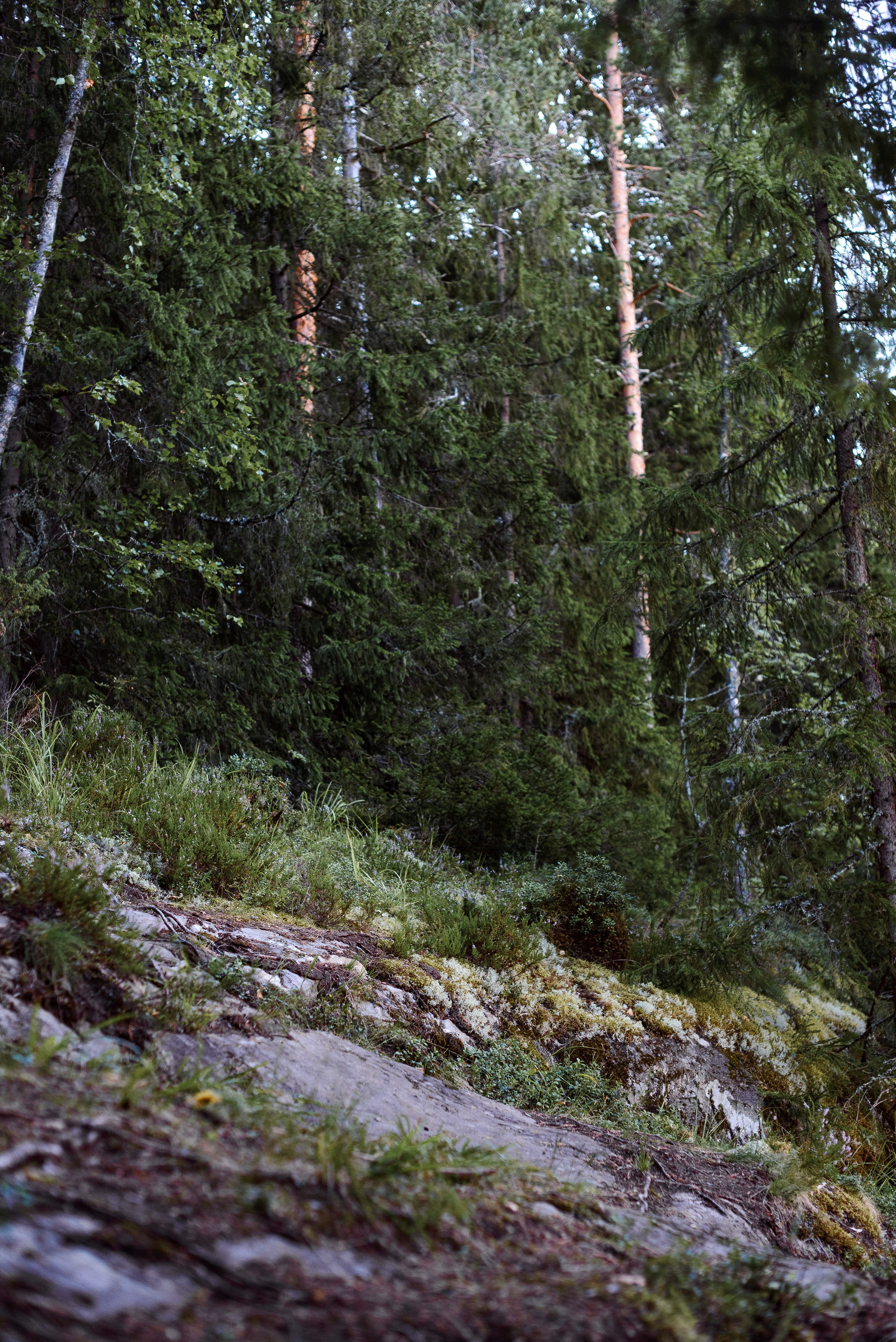 Карелия. Семейный и детский фотограф в Санкт-Петербурге Городнова Татьяна