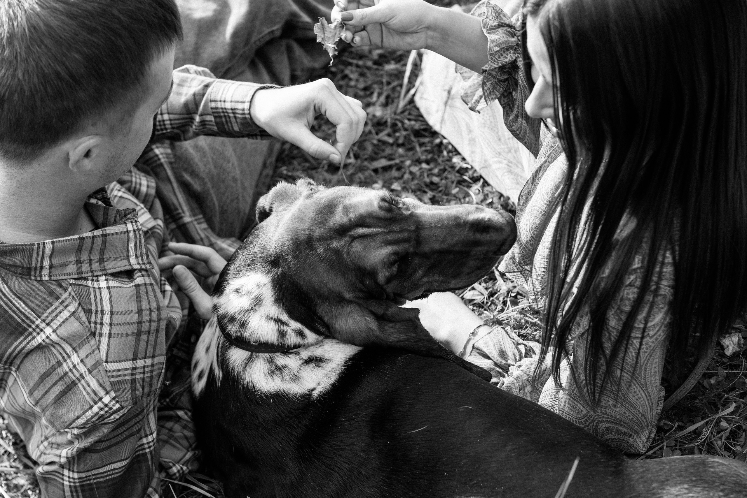 ПЕТР, ДАРЬЯ И ПЛЮША. Фотограф LANA STIL. Семейный, репортажный фотограф, студия. Женский, мужской портрет. Фотографирую территориально в г. Королев, Москва, МО