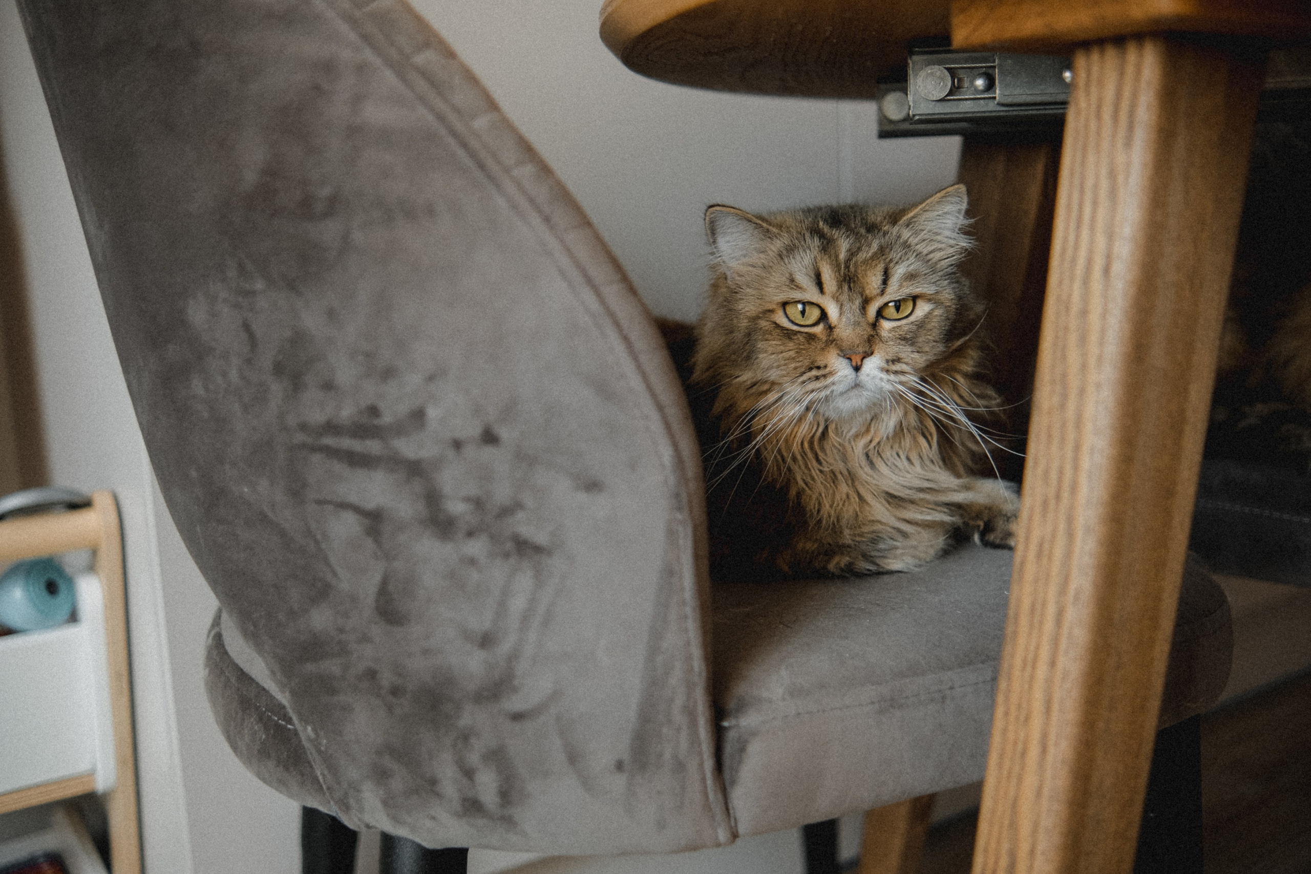 Рита и Марк. Семейный фотограф Москва