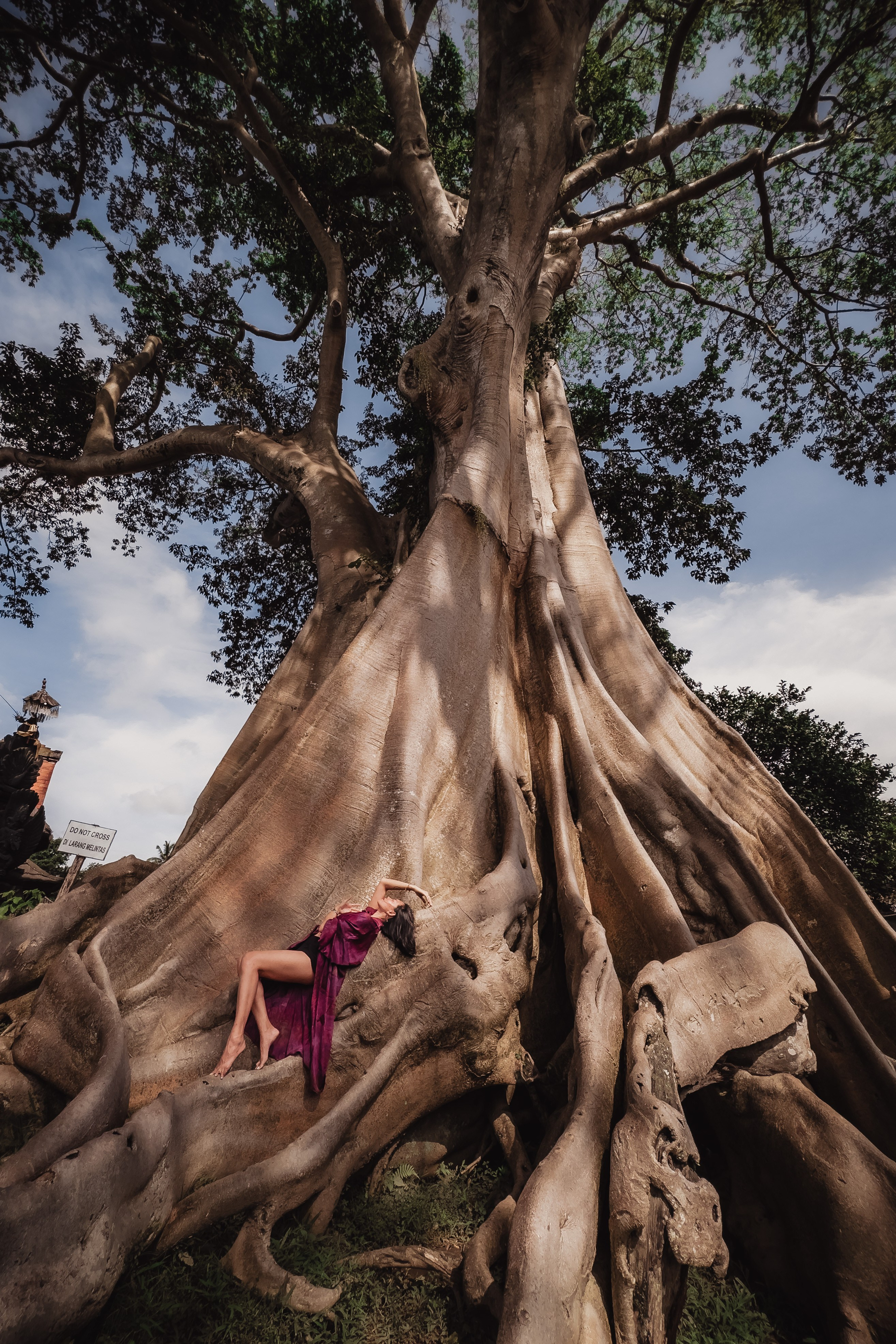 Banyan date. Mariam Bagdasaryan