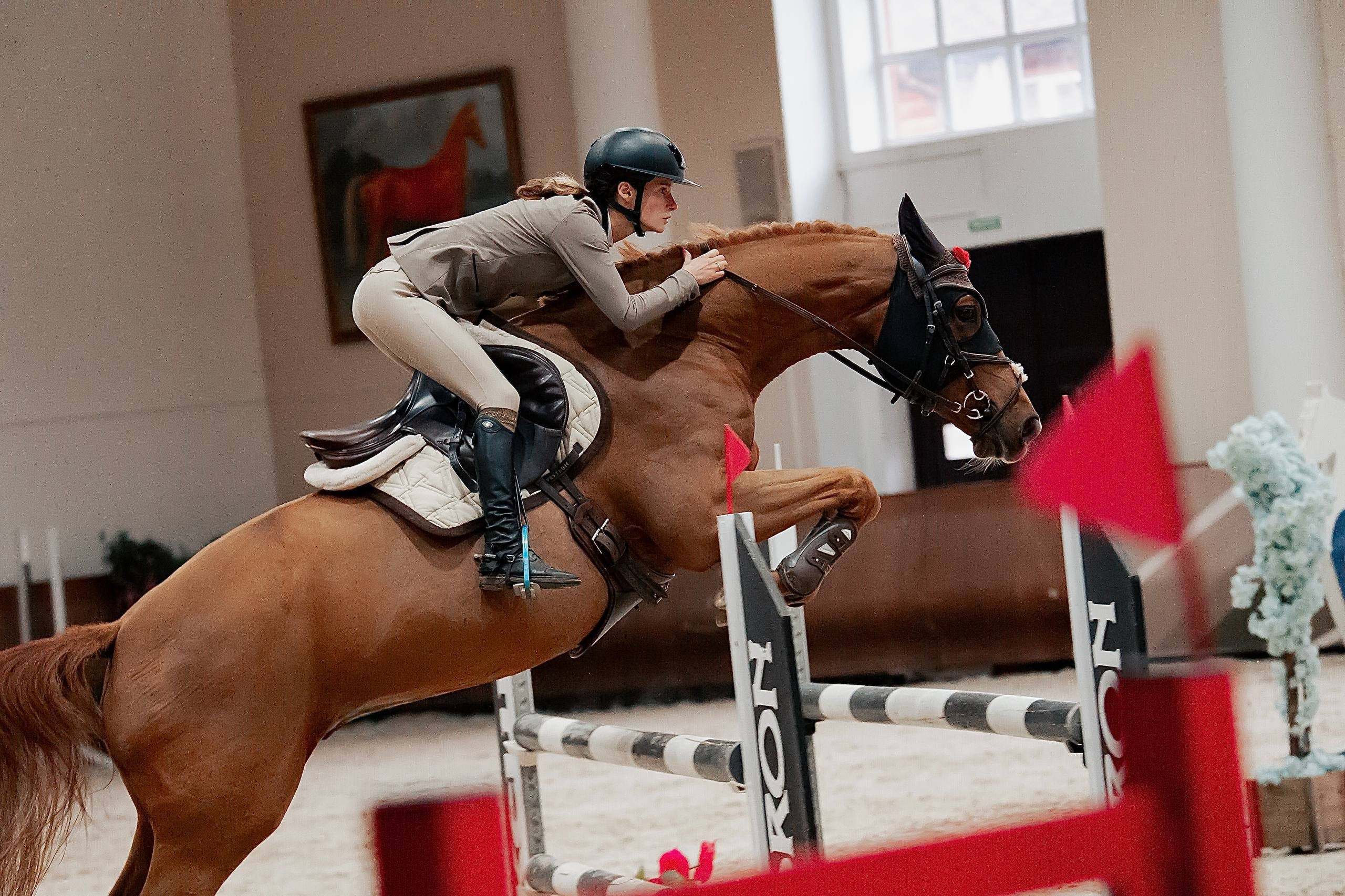 КУБОК ВУЗОВ. ФИНАЛ — КСК «ВИВАТ, РОССИЯ!». Куракина Дарья • Конный фотограф