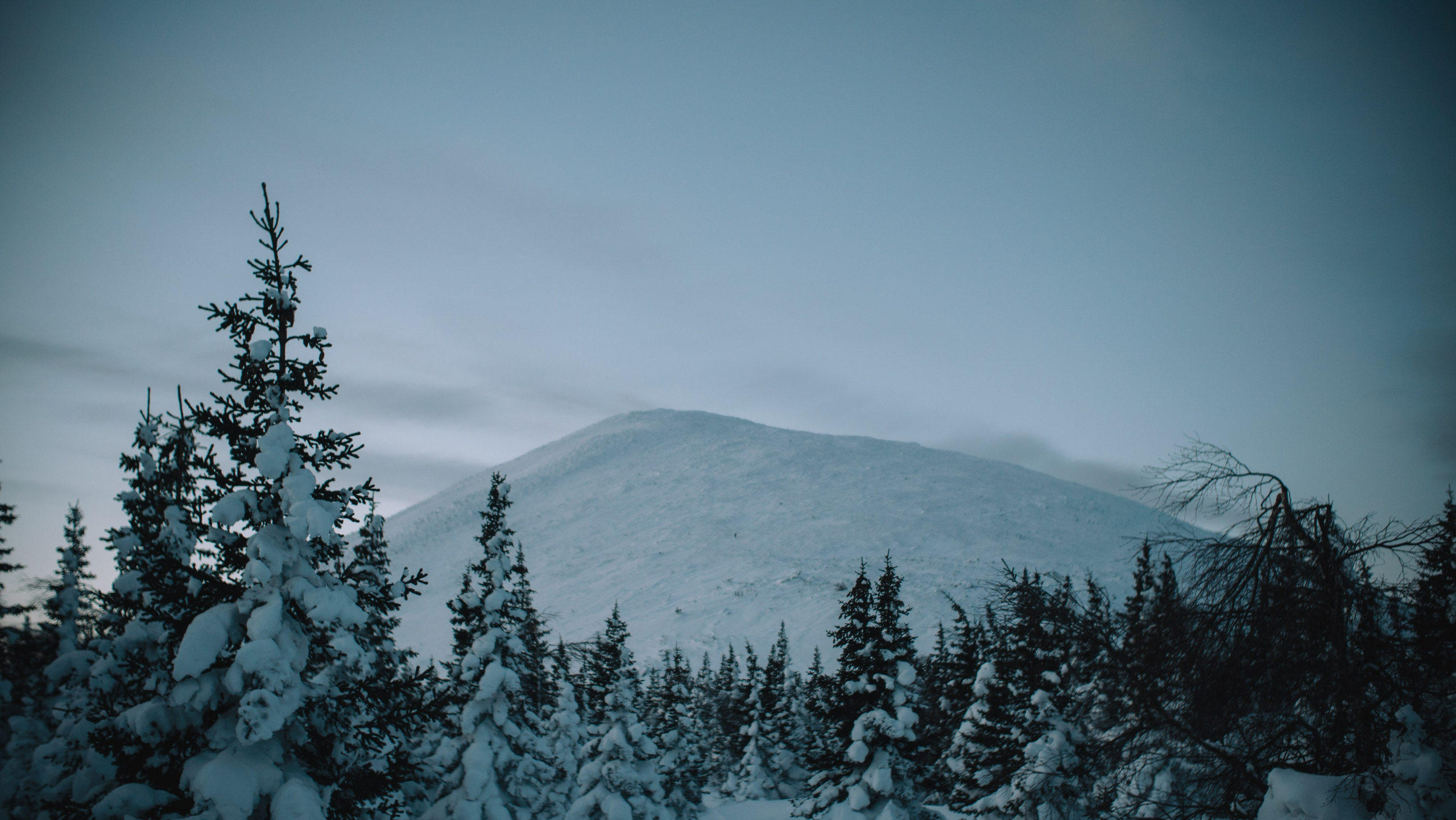 Фотографии из путешествий. NECULTURED PHOTOGRAPHER