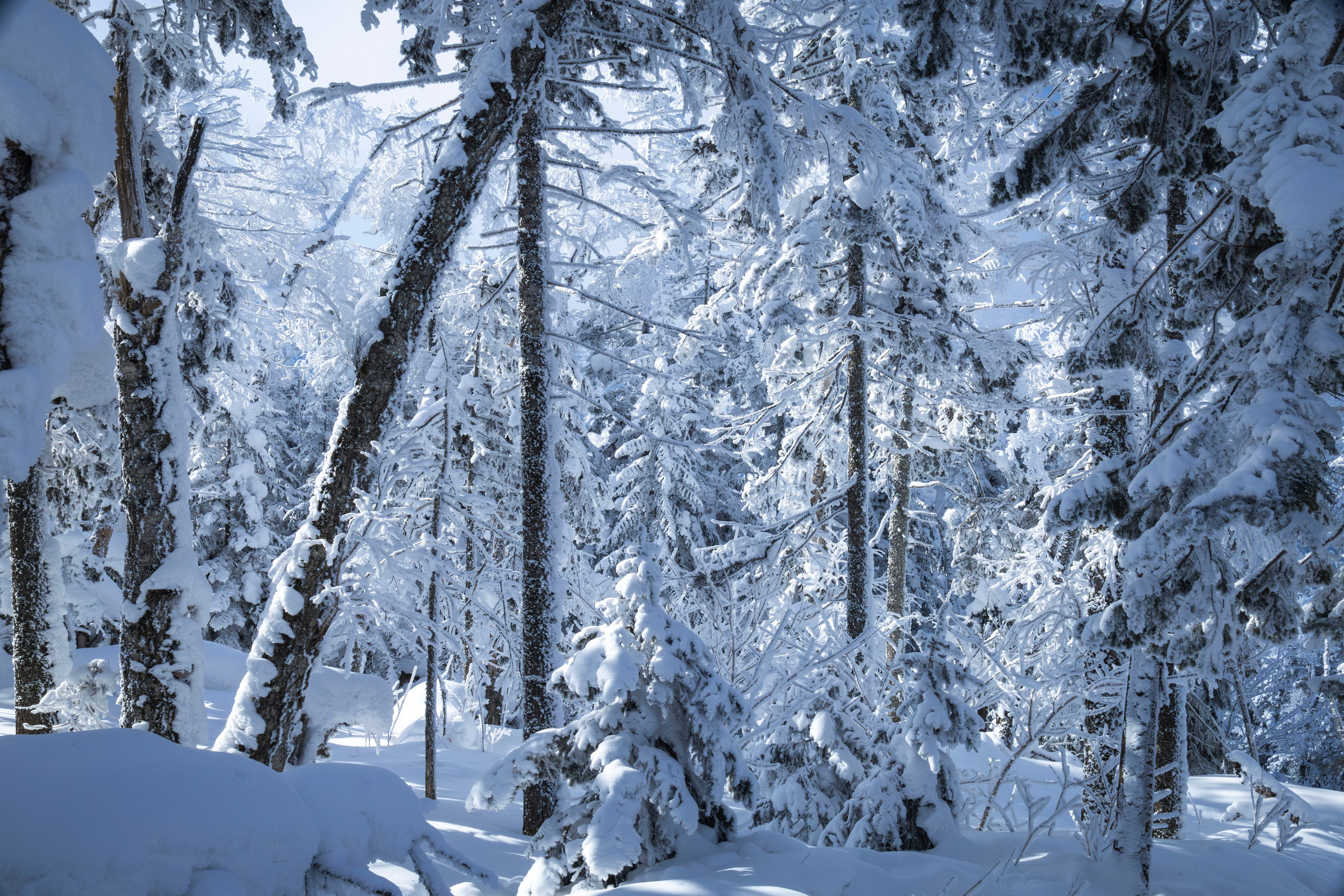 Походы. Фотограф г. Владивосток