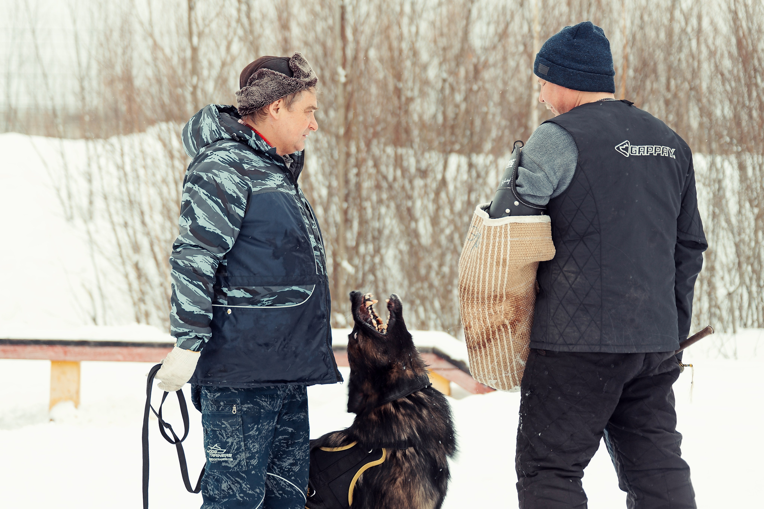 Репортажная съемка. Фотограф-анималист Нижний Новгород