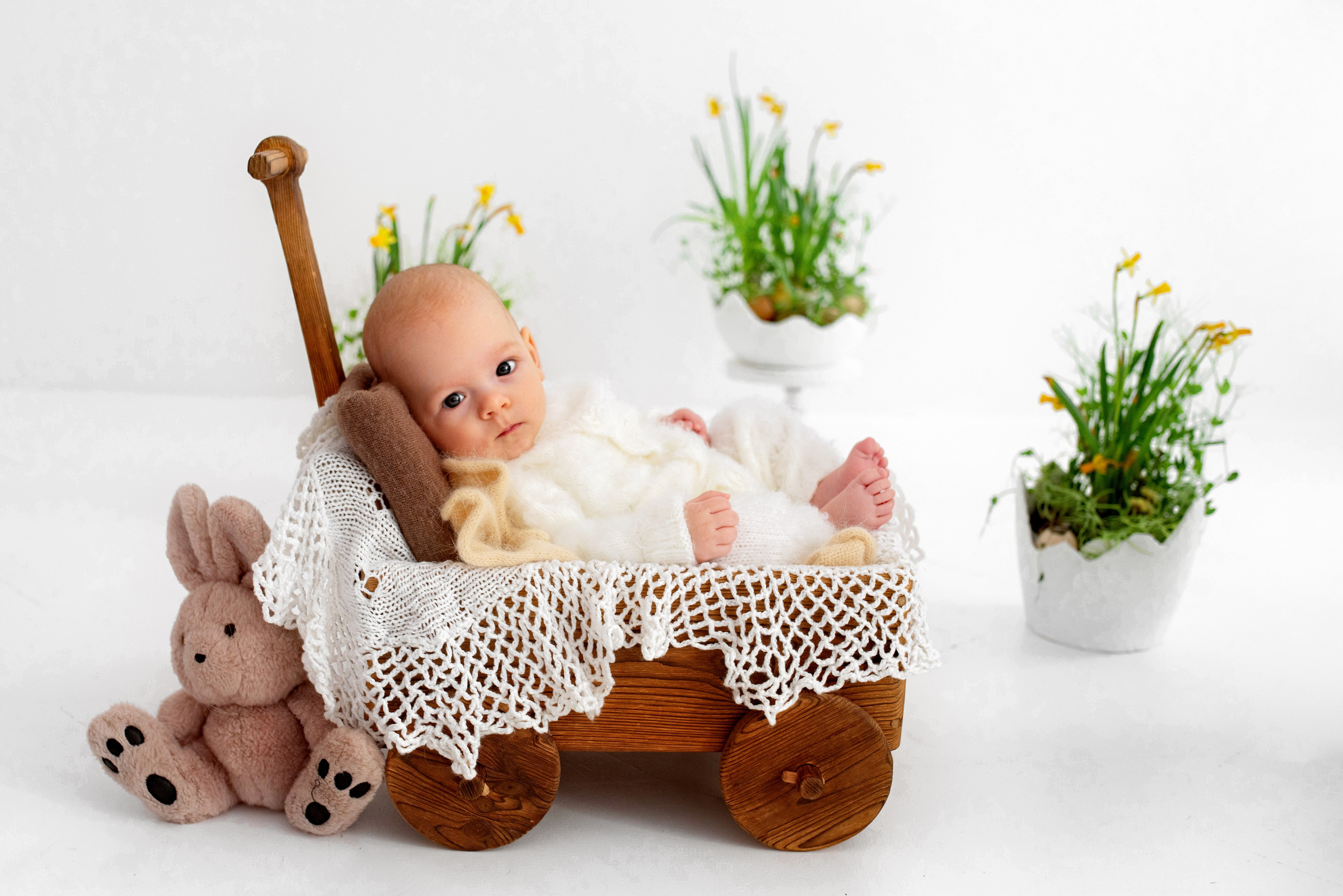 Лев (3 месяца)