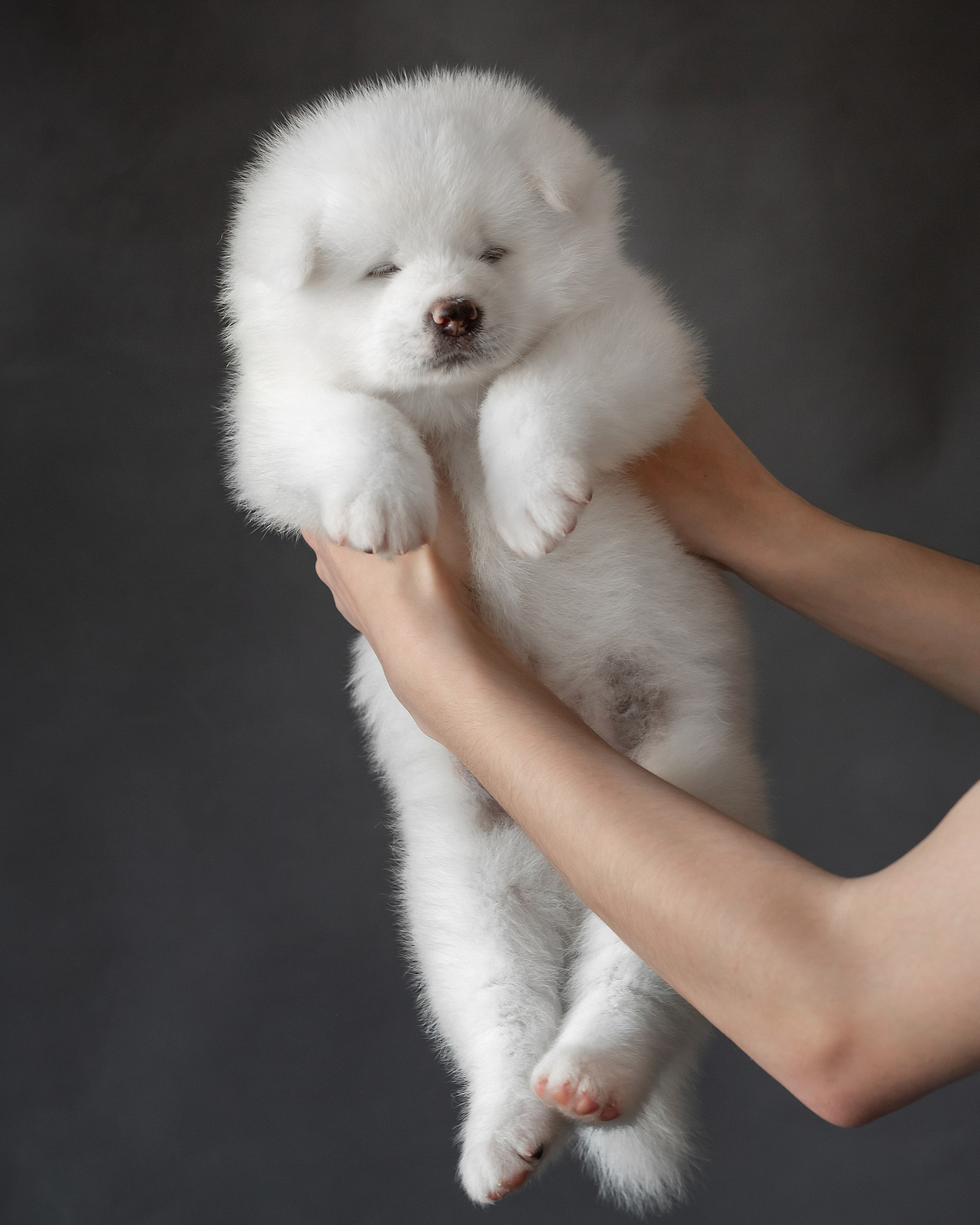 Предыдущие пометы. Алена Попова — фотограф в Хабаровске