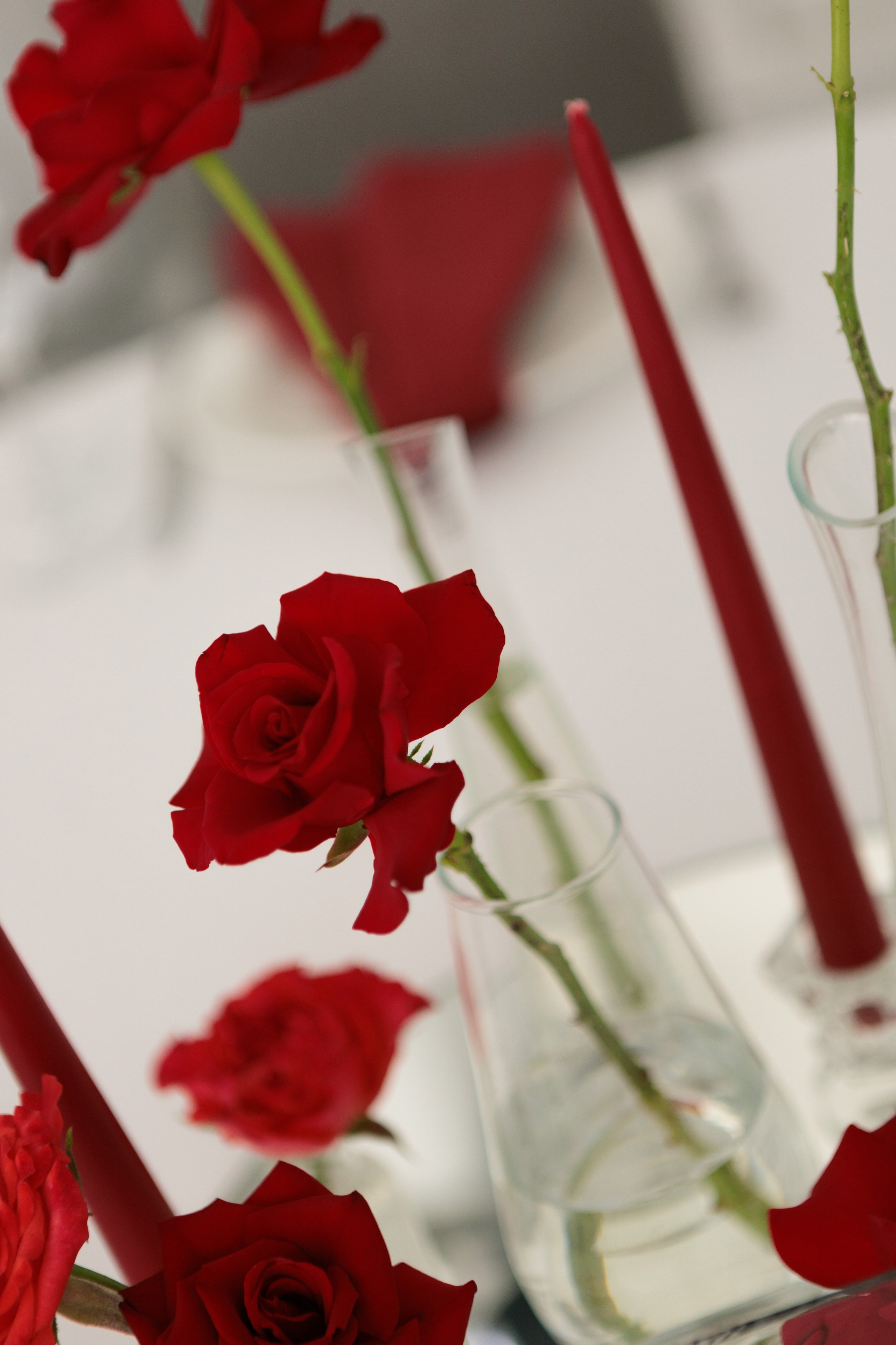 Свадьба в загородном клубе Голицын. Свадебный фотограф Ростов на Дону / Таганрог — Усачева Анастасия