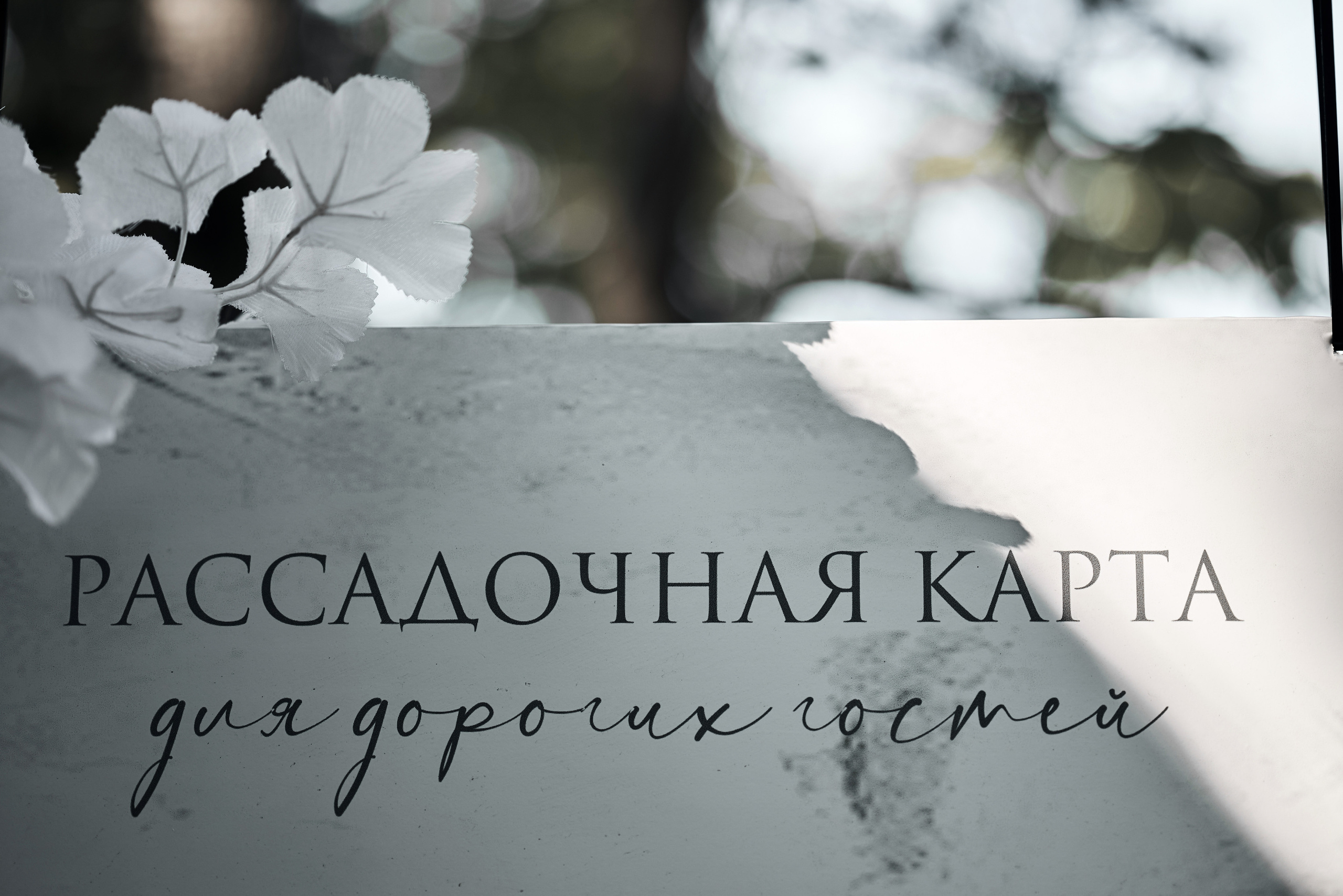 Виталий & Анжелика. Фотограф Михаил Ефремов