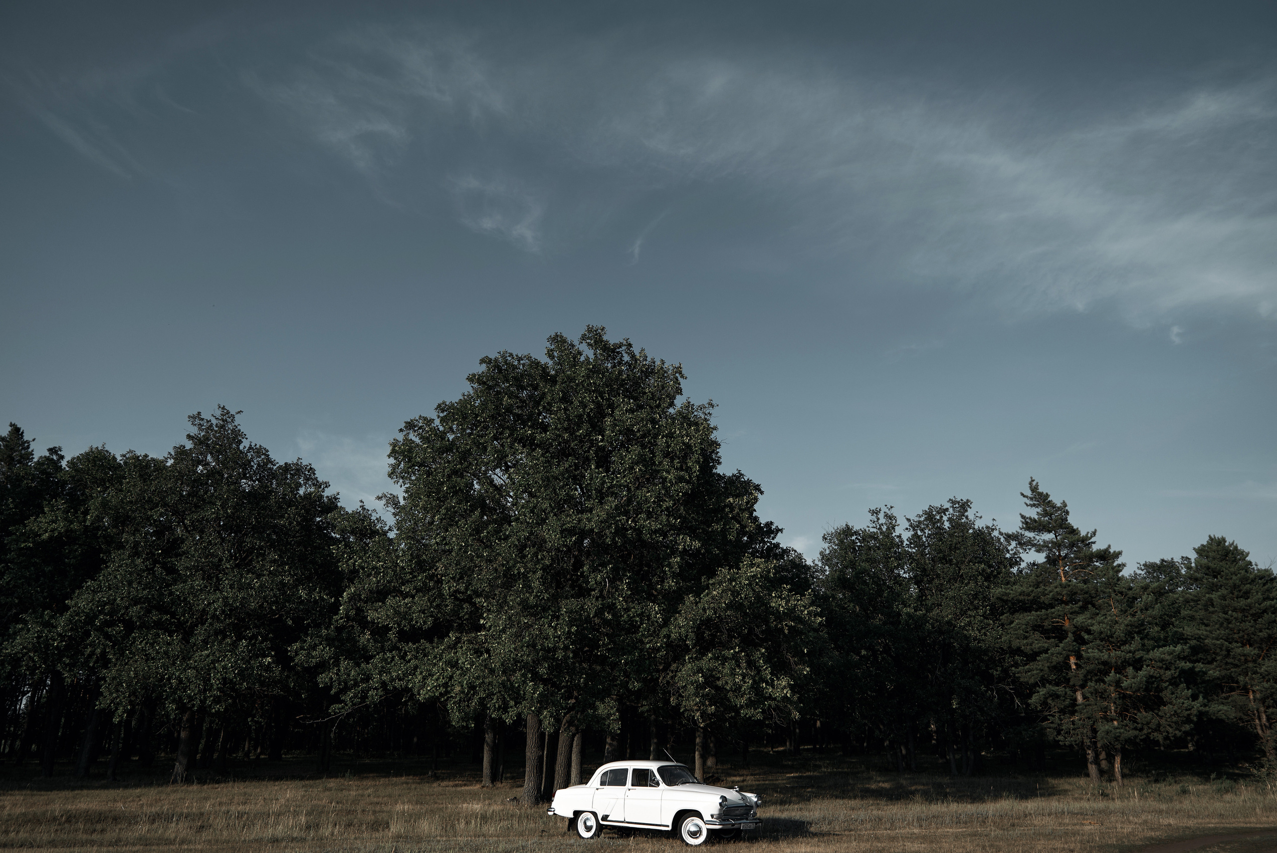 Ксения & Анатолий. Фотограф Михаил Ефремов