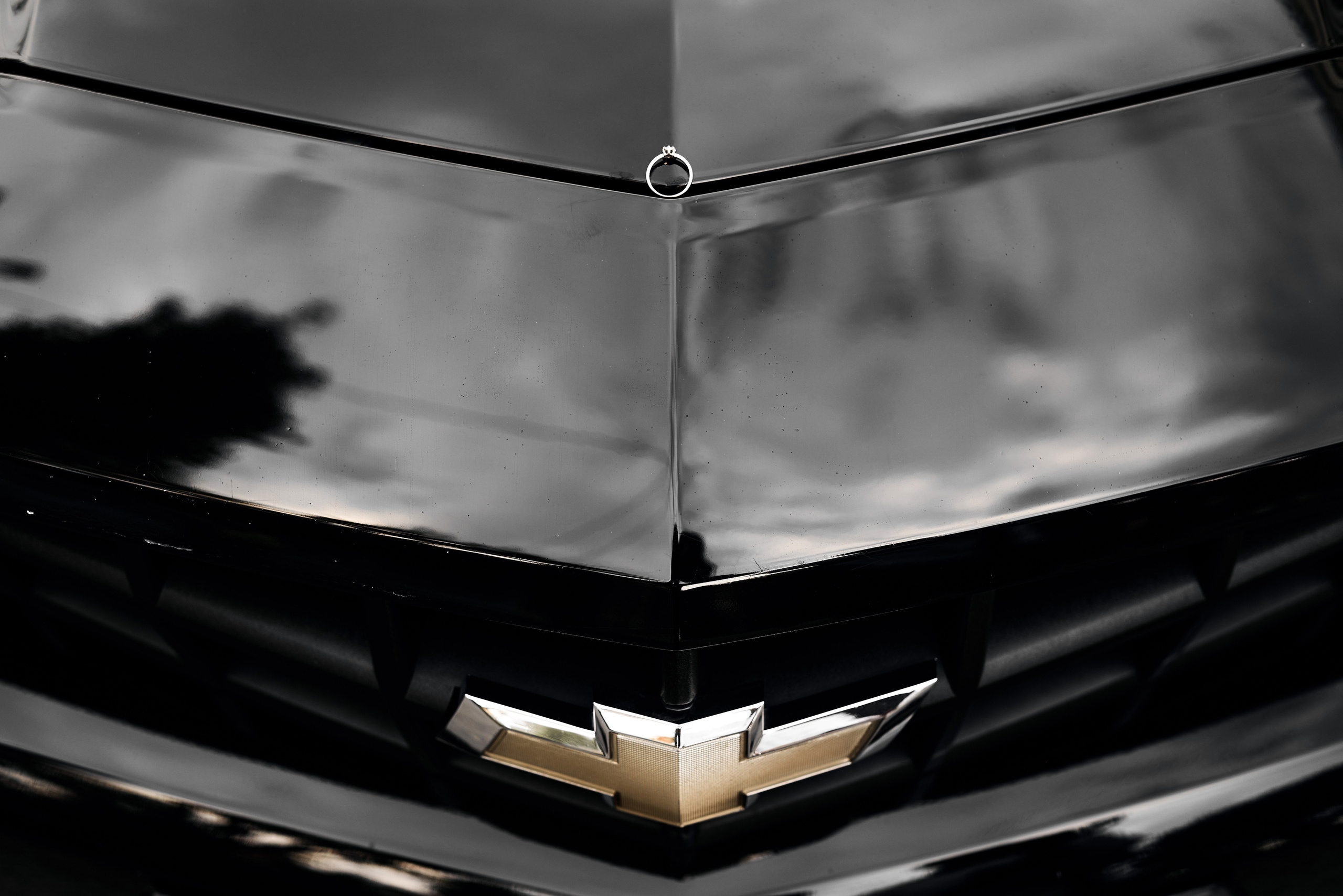 Виталий & Анжелика. Фотограф Михаил Ефремов