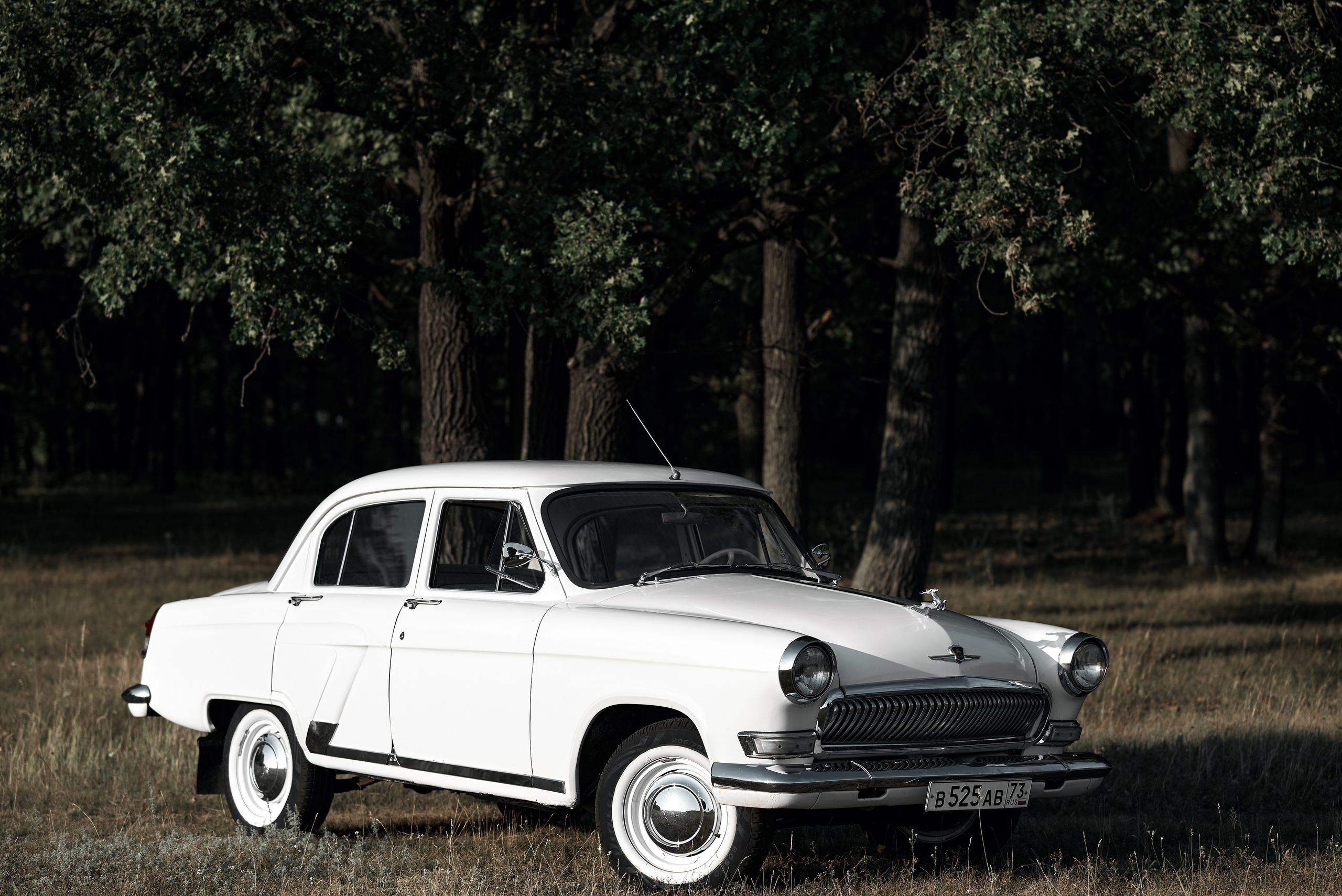 Ксения & Анатолий. Фотограф Михаил Ефремов