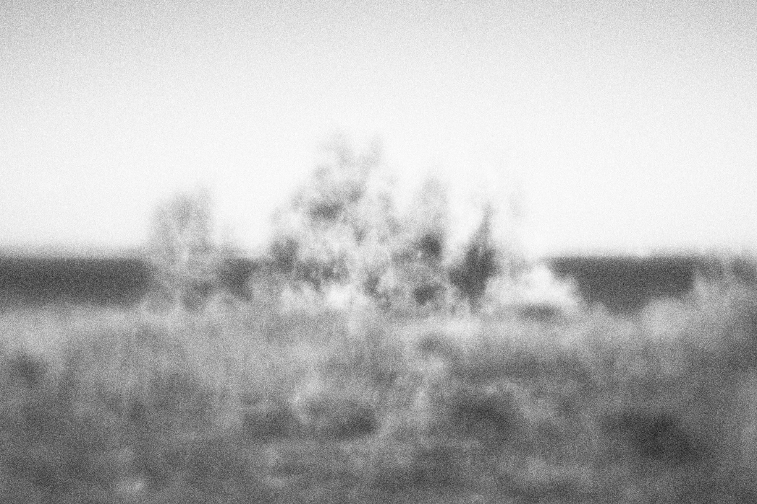 Внутривенные сны (2023)