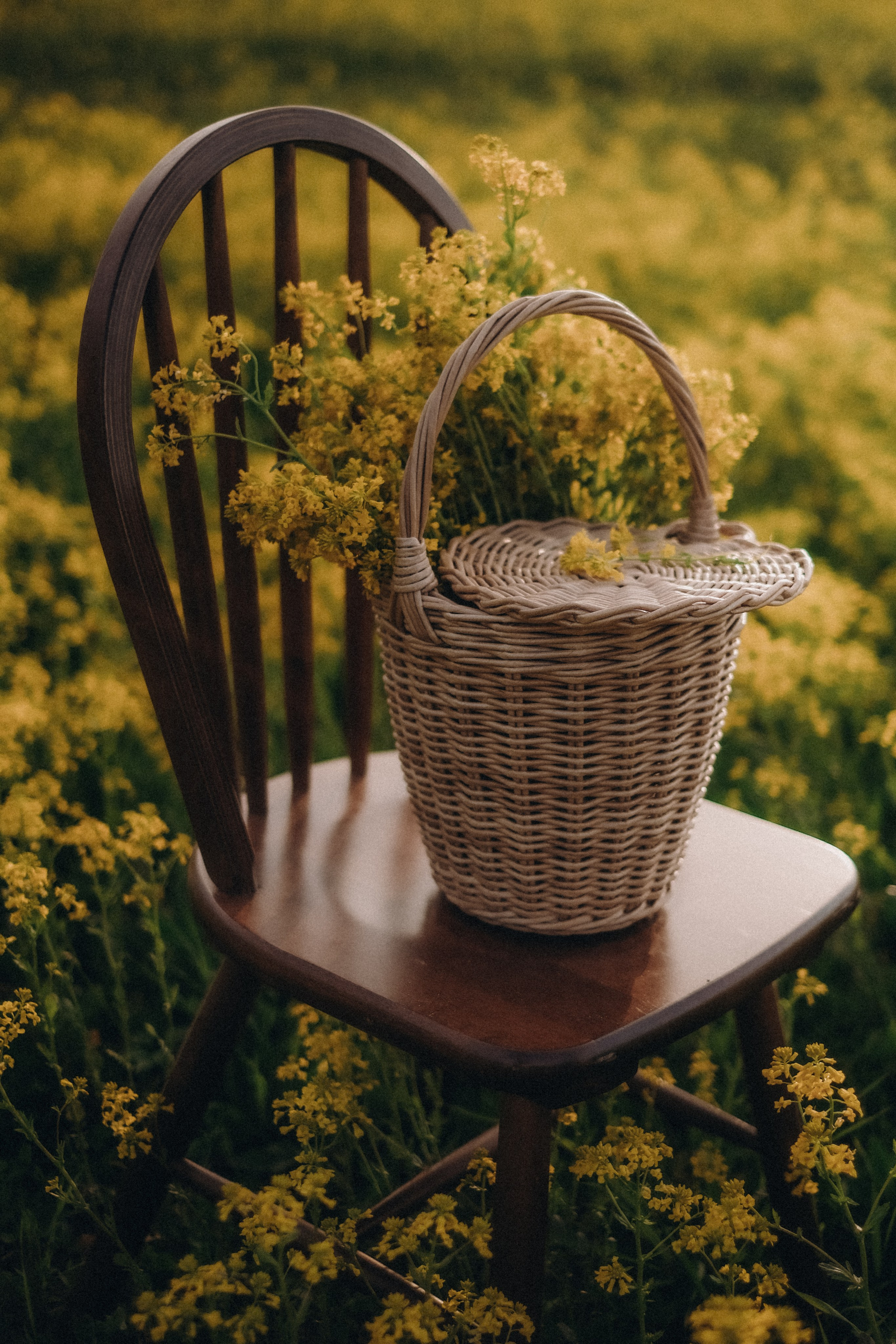 В золотом поле. Свадебный и семейный фотограф в Москве Инника Кетлер