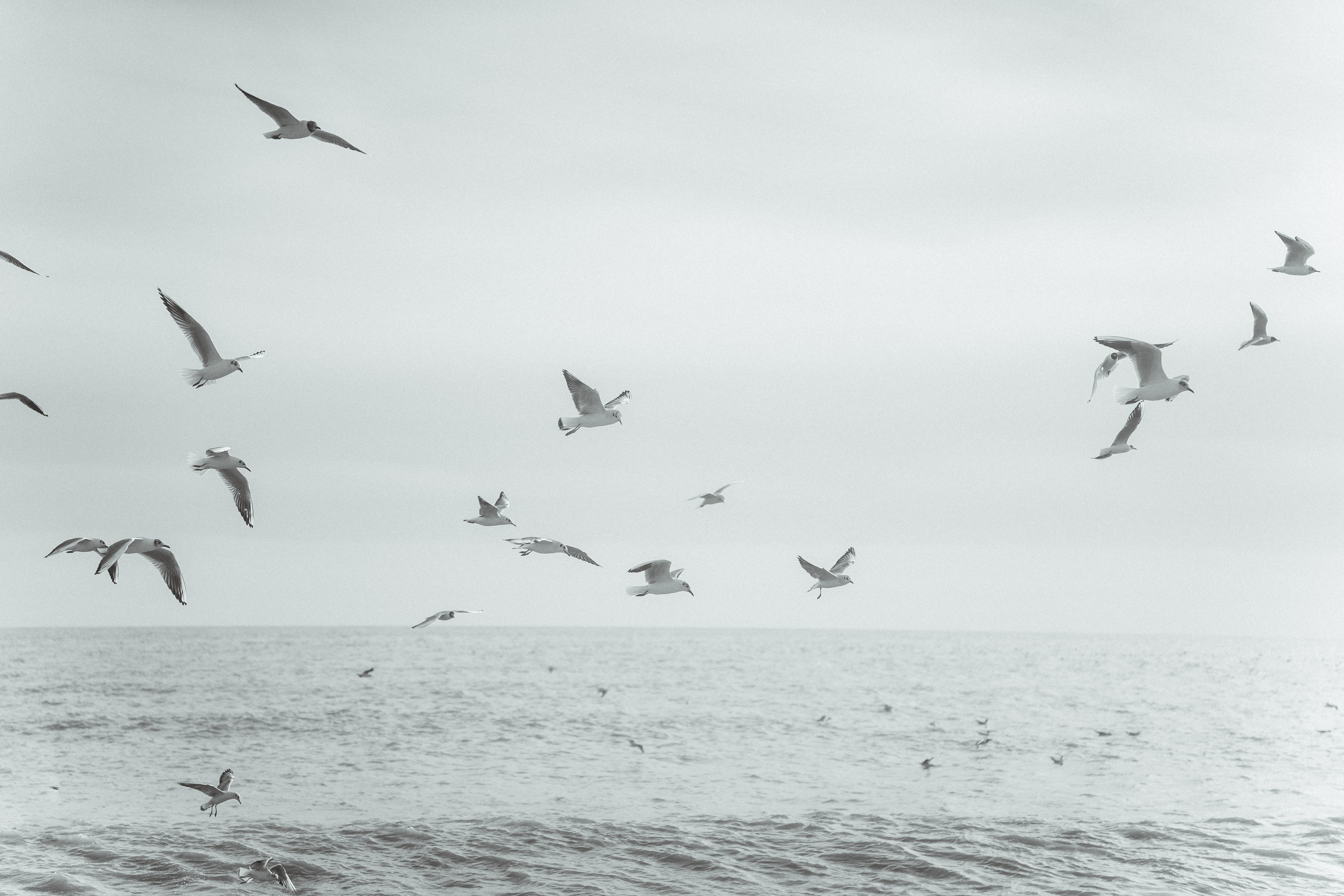 Горы море. Агата Акварель видеограф Сочи Краснодар