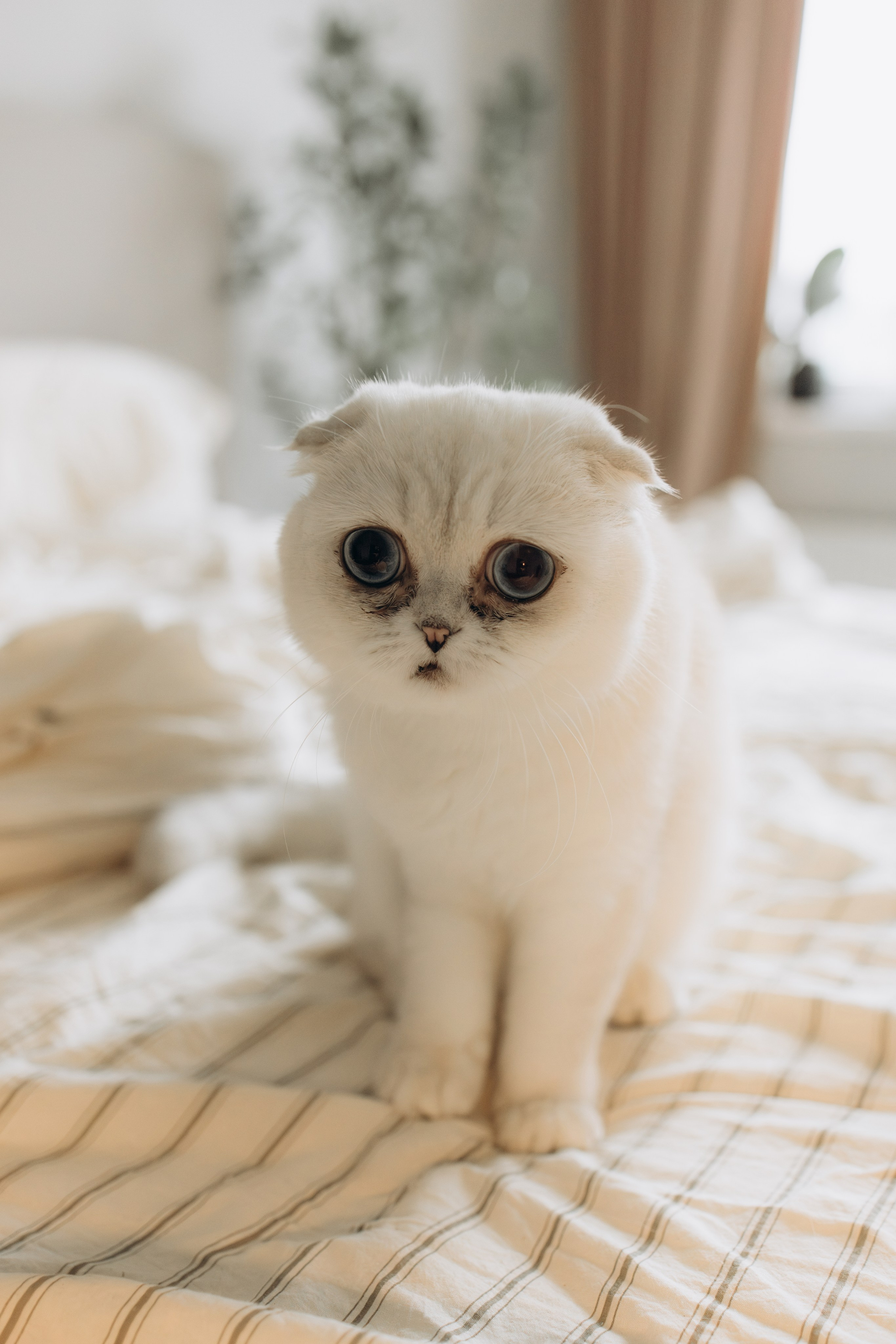 Домашняя история. Семейный фотограф Москва Юлиана Фетисова