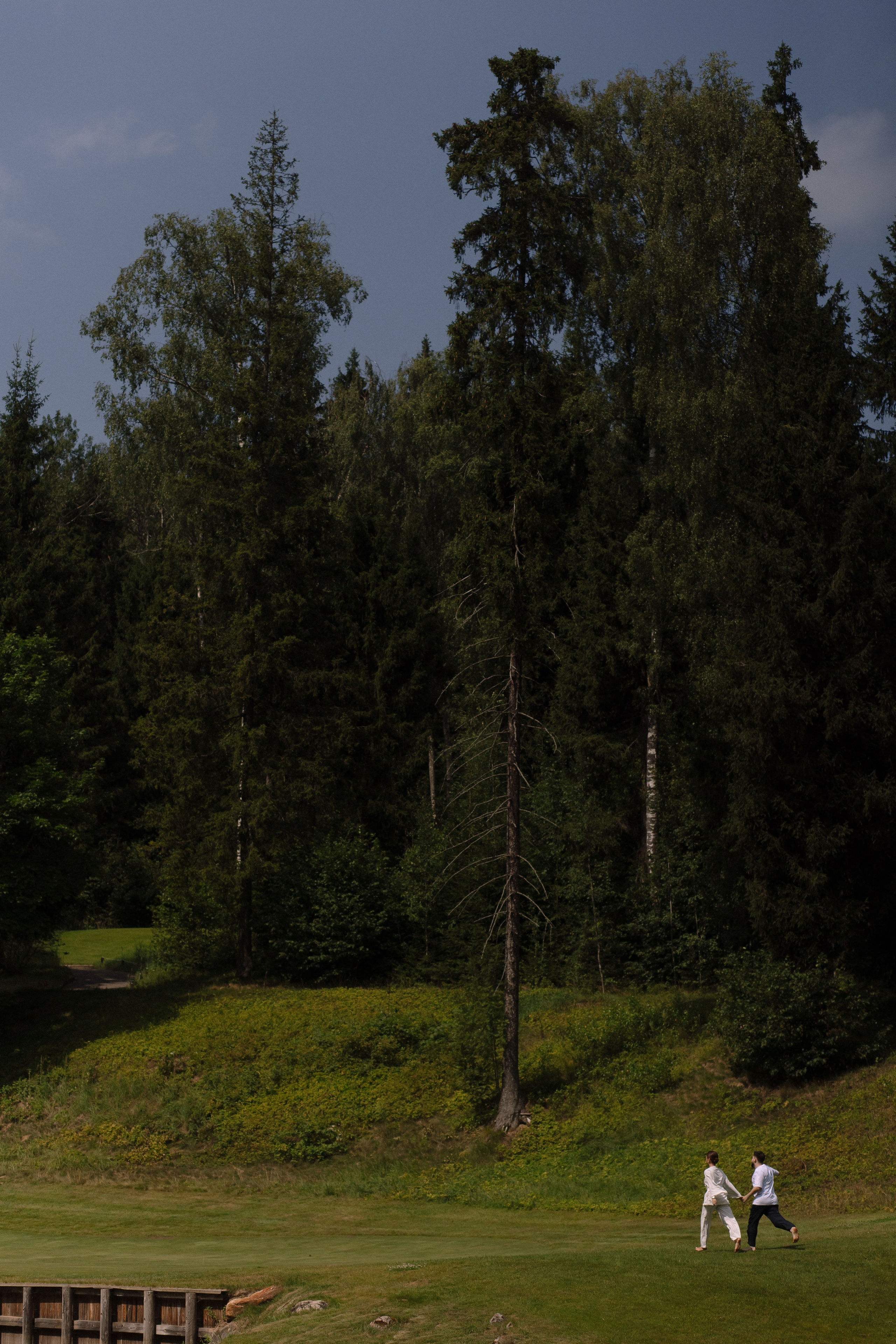 WED DAY 16/07. Свадебный фотограф в Москве Дмитрий Тарасов