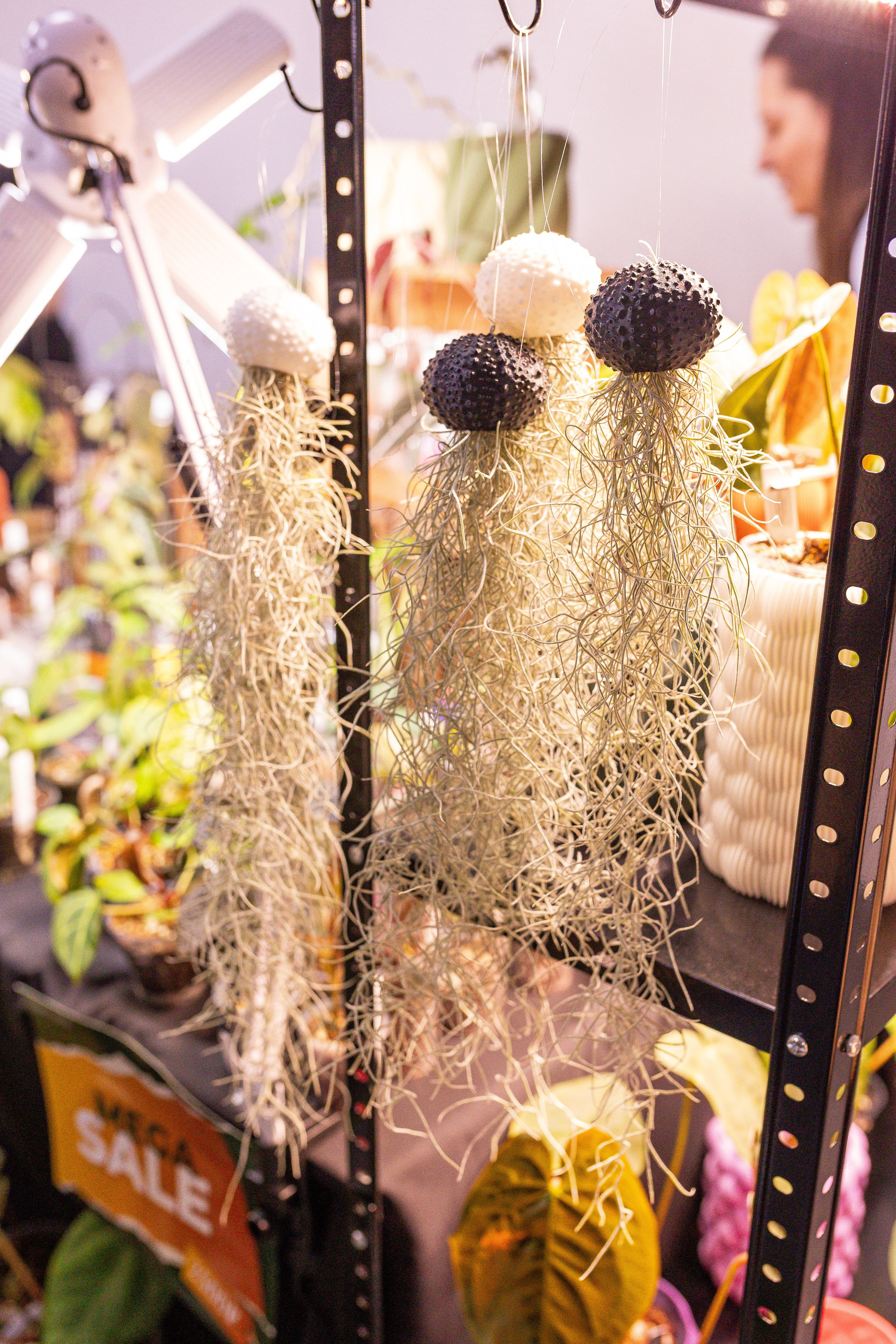 Монстериум апрель 2025. Александра Куликова фотограф, Москва