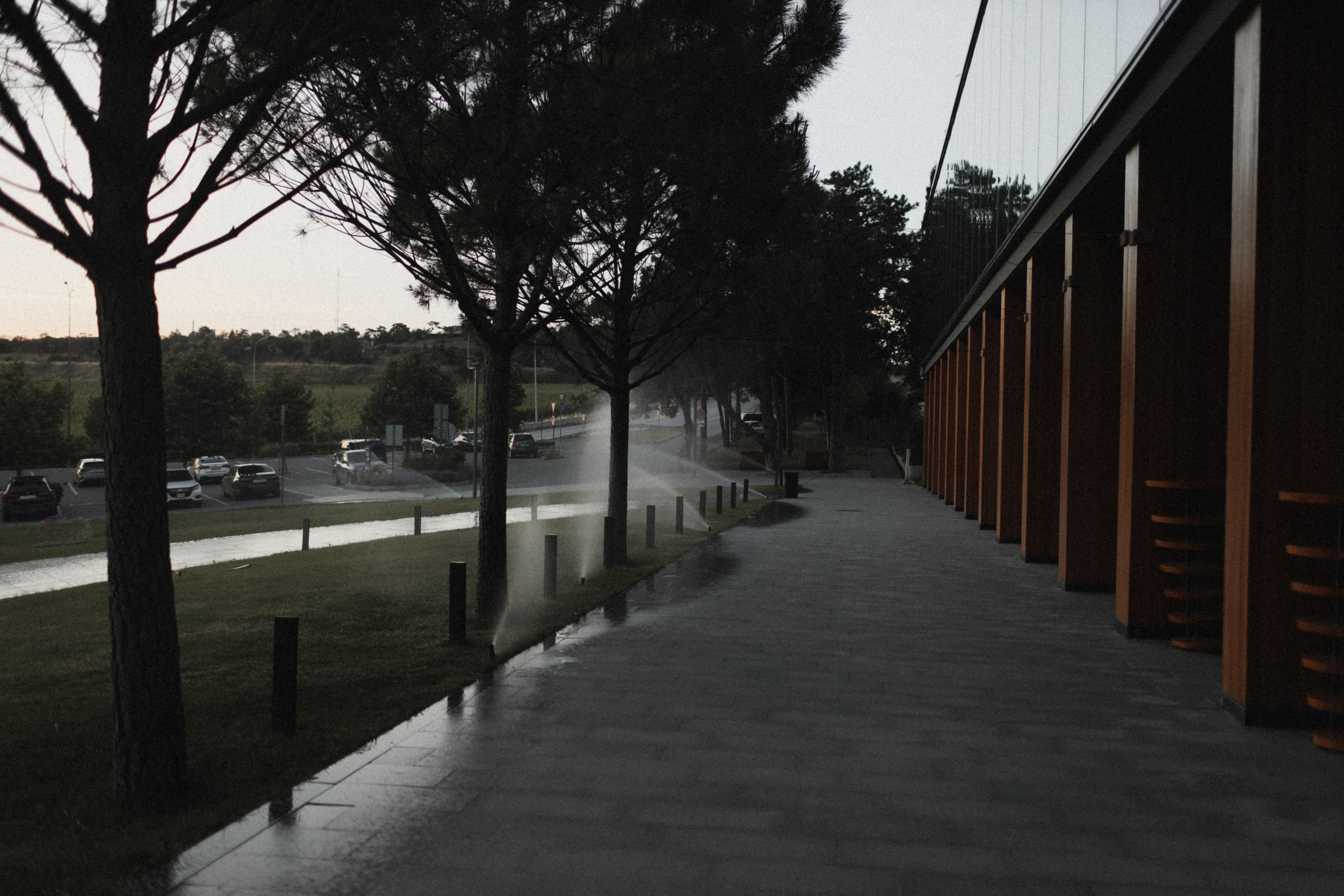 Mushrooms. Фотограф Воронцова Виталия Крым Севастополь