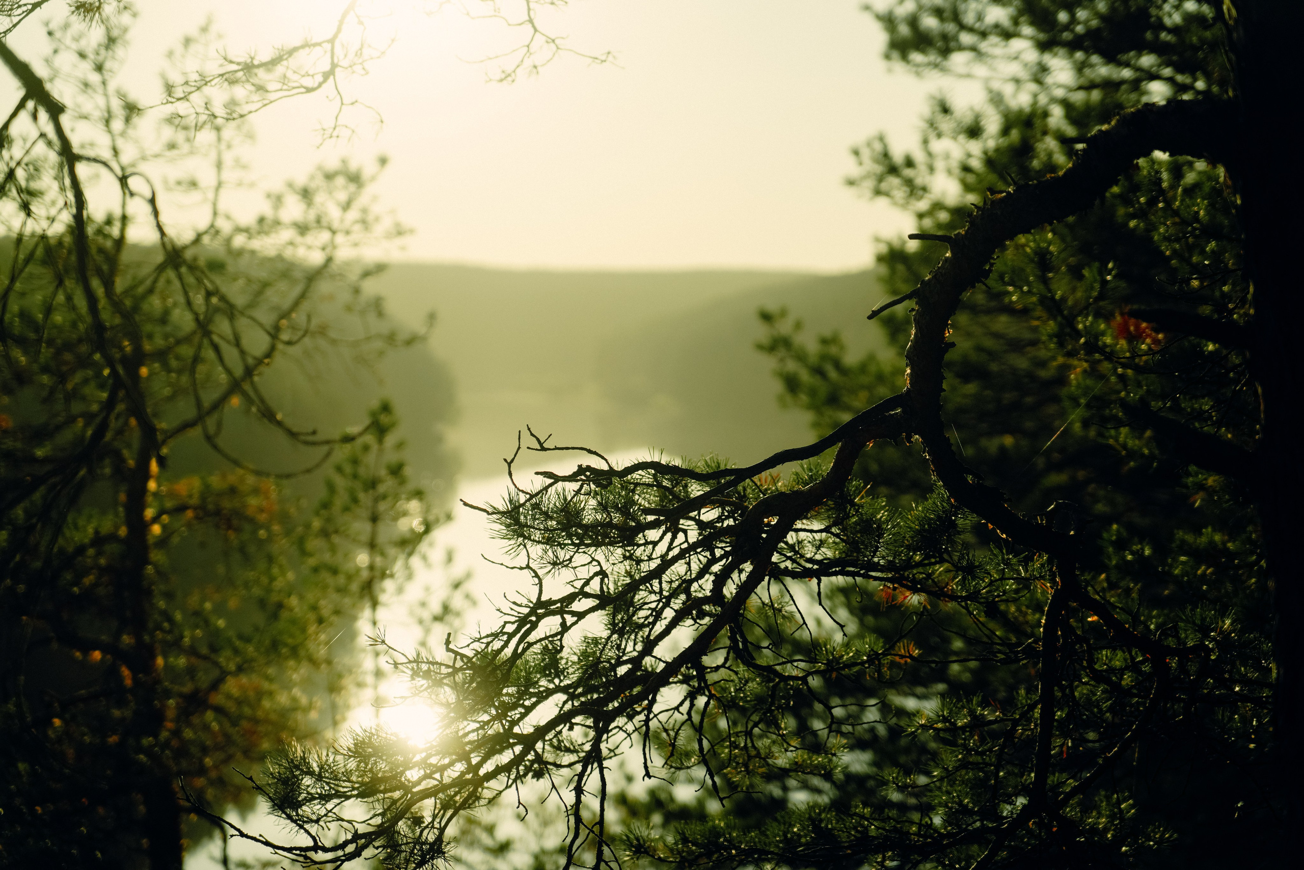 Сухой лог, Сентябрь 2023