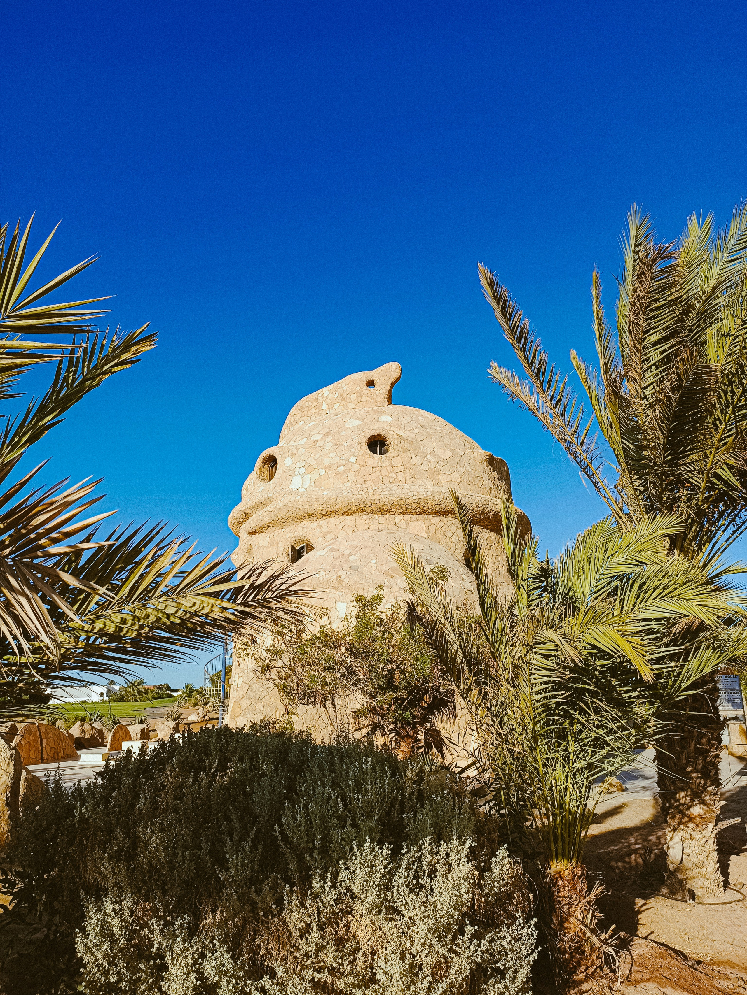 Мобильная. Jorgis — фотограф в Хургаде / обучение фотографии